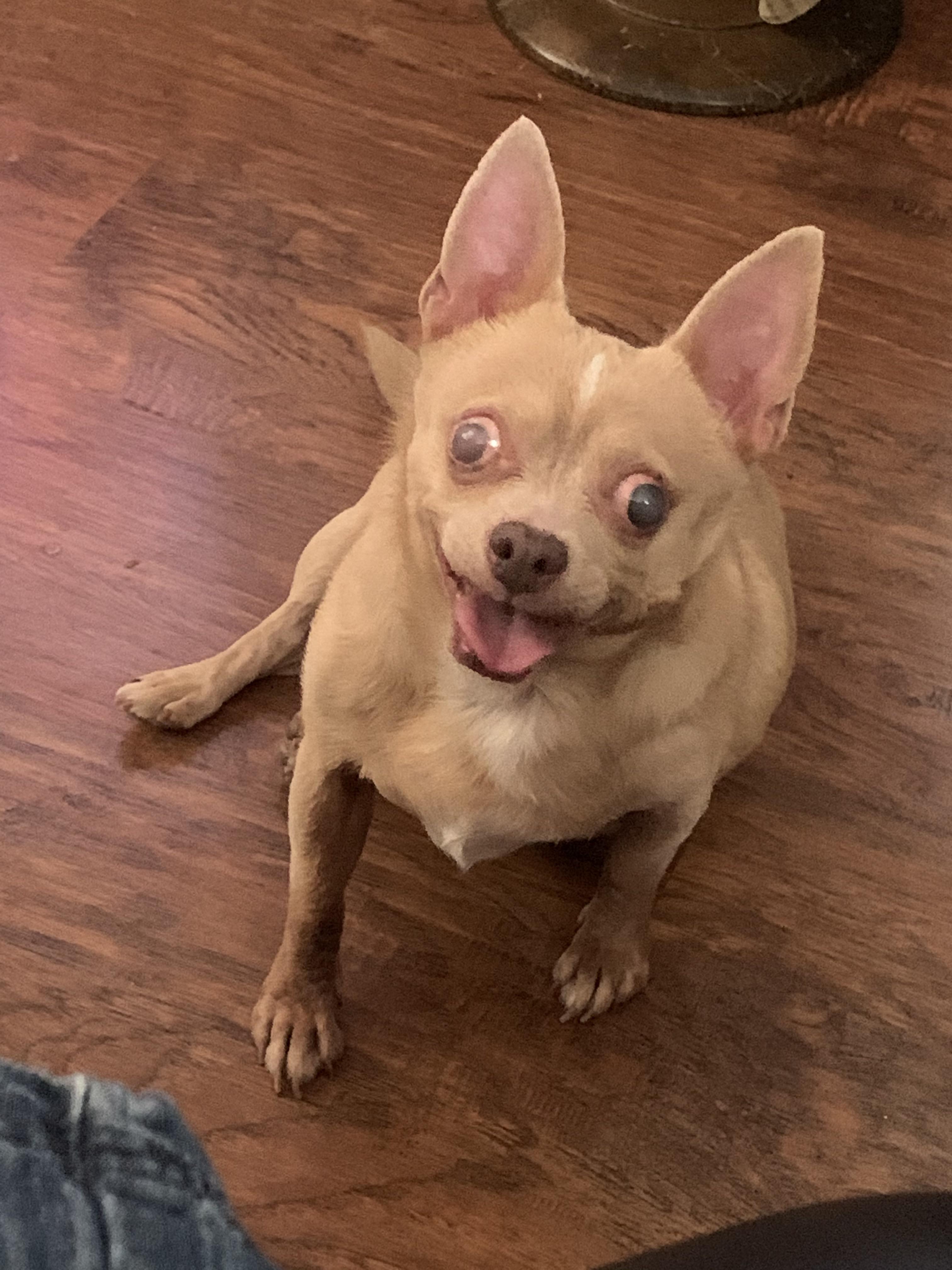 I lost my heart today. My special boy. my absolutely