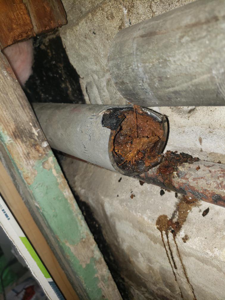 Update, went ahead and replaced kitchen sink drain pipe r/Plumbing