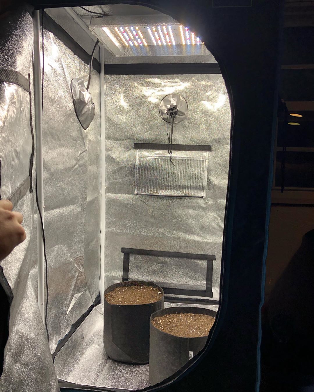 Setup done. Mars Hydro TS600 LED and 2x2 Grow Tent. r/HerbGrow