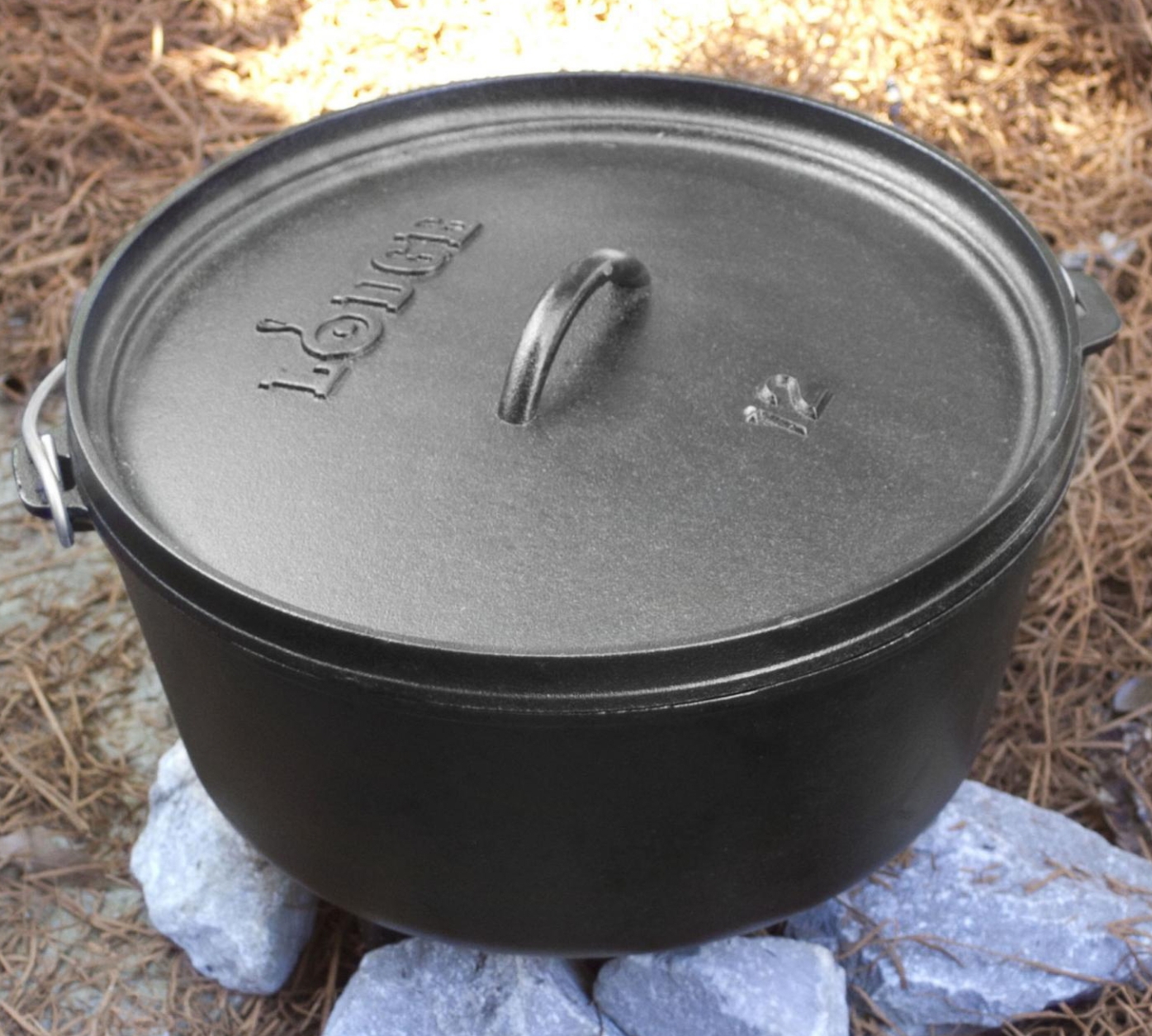 I found a Lodge cast iron dutch oven (new, like the one in the picture