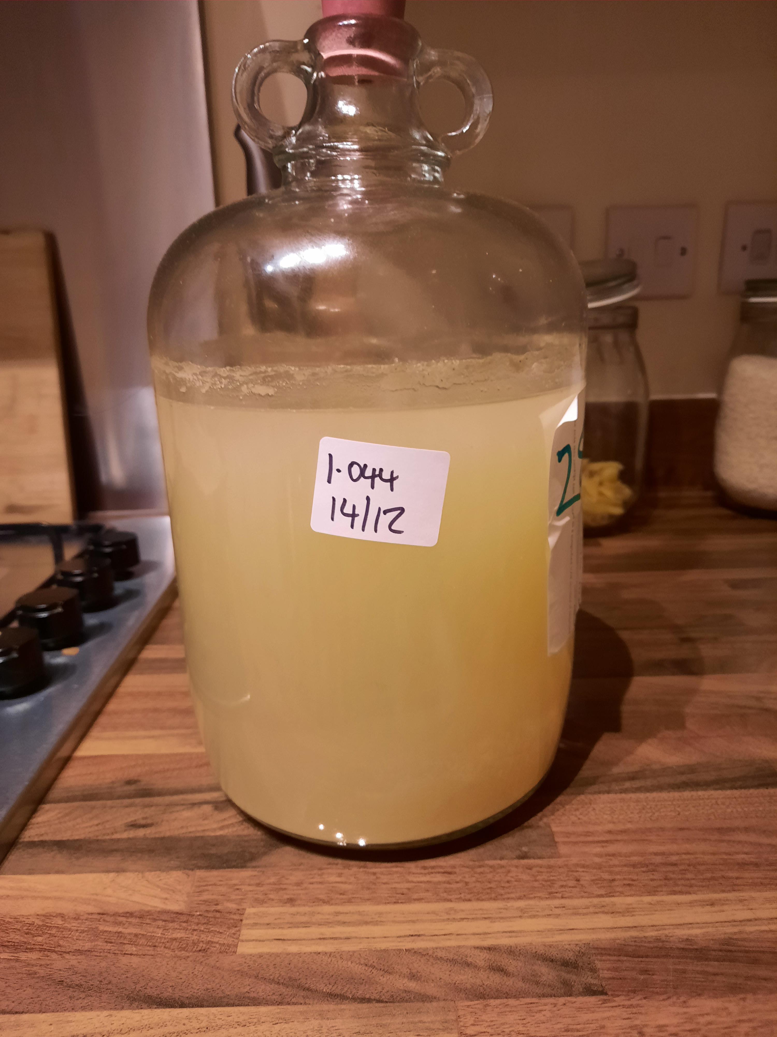 First mead 16 days after beginning fermentation, had a little try of it