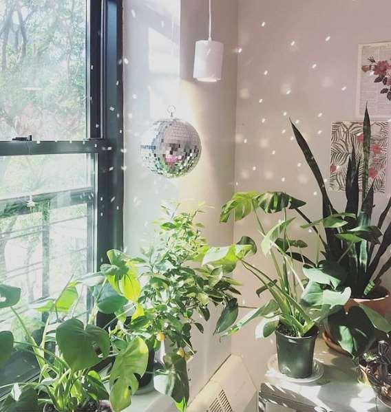 Home to the world's funkiest grow light setup! r/gardening