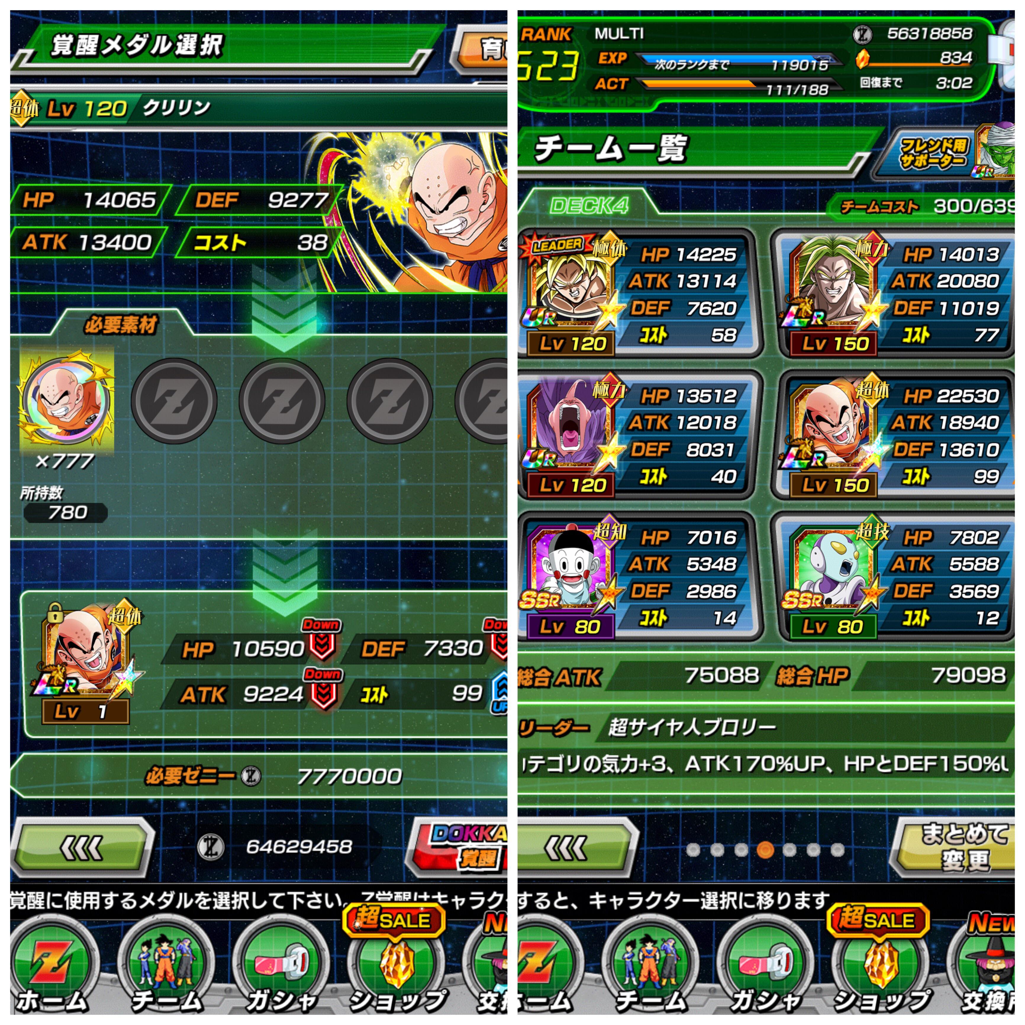 Best World Tournament Team Dokkan 2024 Team Alta