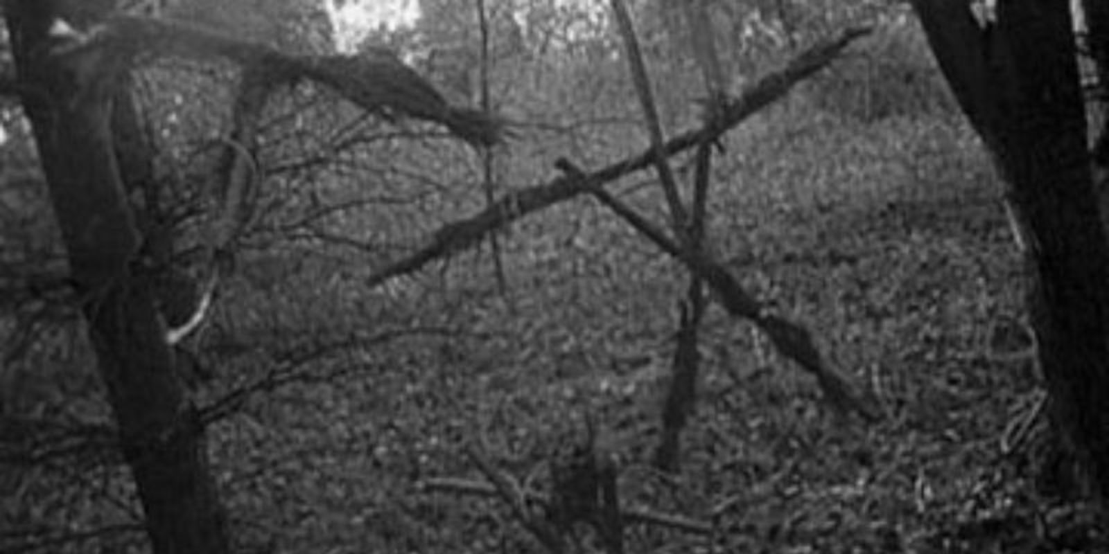 What is the creepiest scene in The Blair Witch Project for you? r