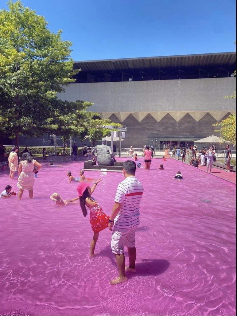 NGV Pink Pond melbourne