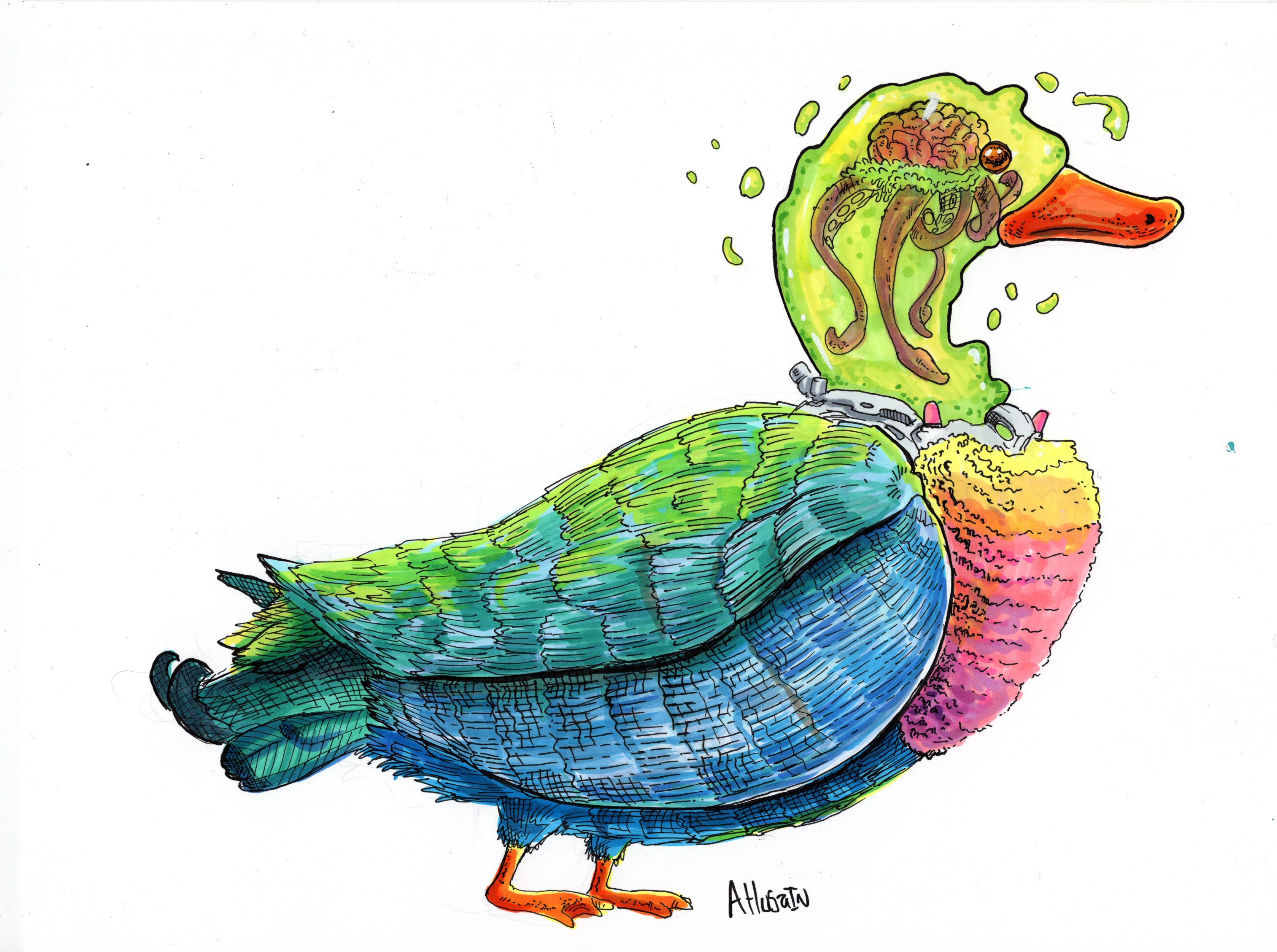 Regular Duck, Pen and Marker, 8.5x11" r/Art