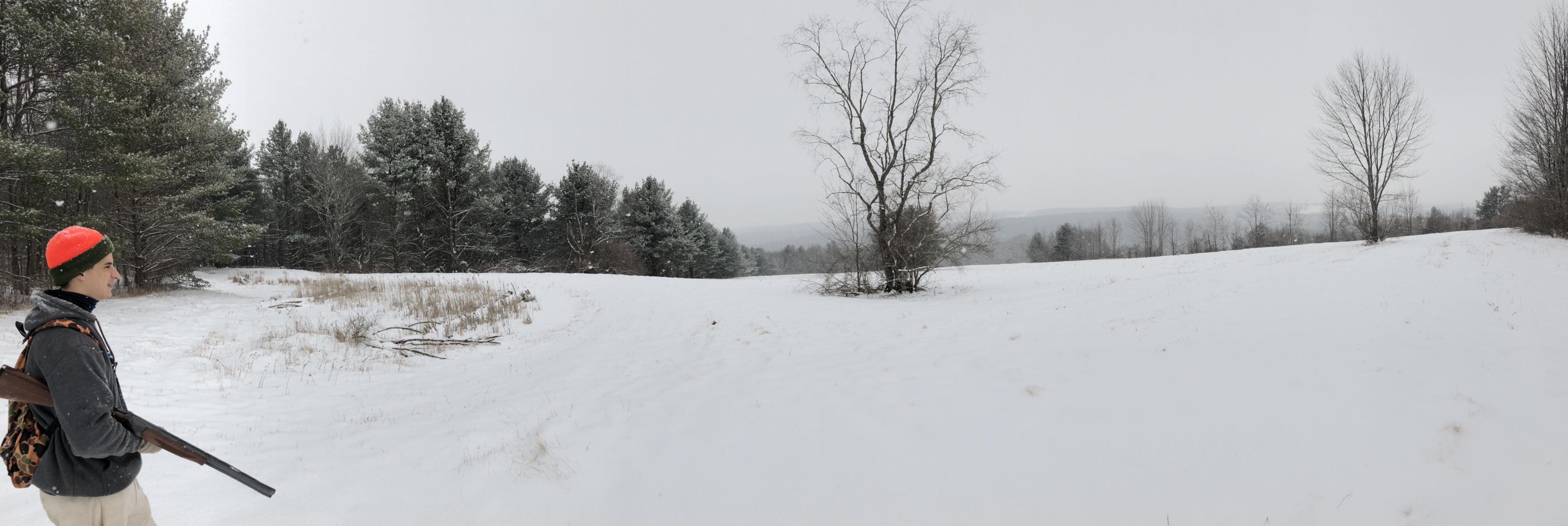 February grouse hunting in upstate NY r/Outdoors