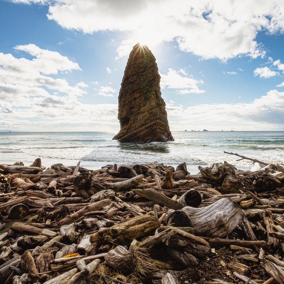 Driftwood Beach on the Oregon Coast. Oregon, USA. [oc][1080x1080] ig