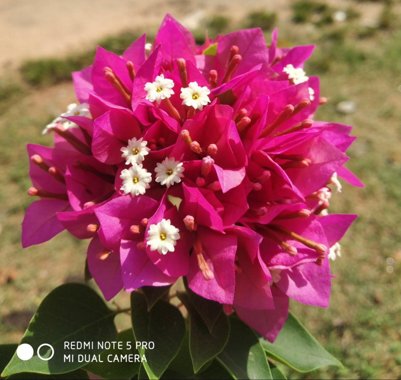 Today Best Pic From My Phone r/Pictures