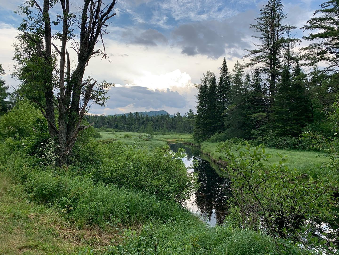 Moose River Plains, Adirondacks, NY r/camping