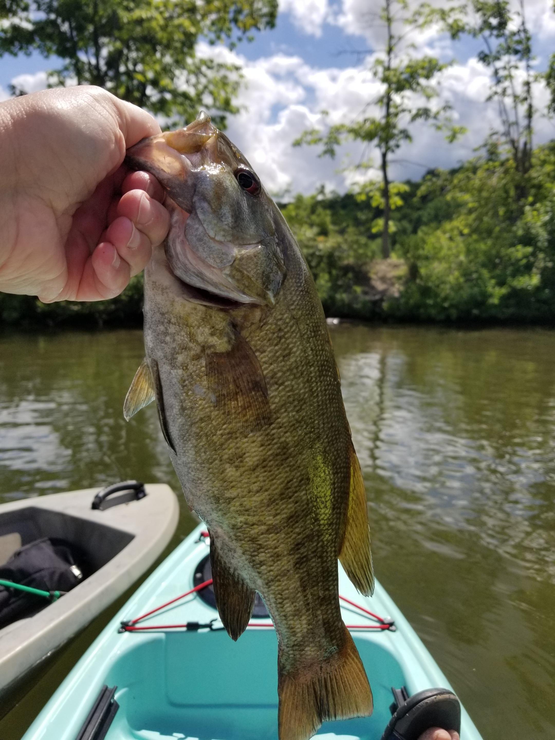 Heritage angler 10' sit-on-top fishing kayak : kayakfishing