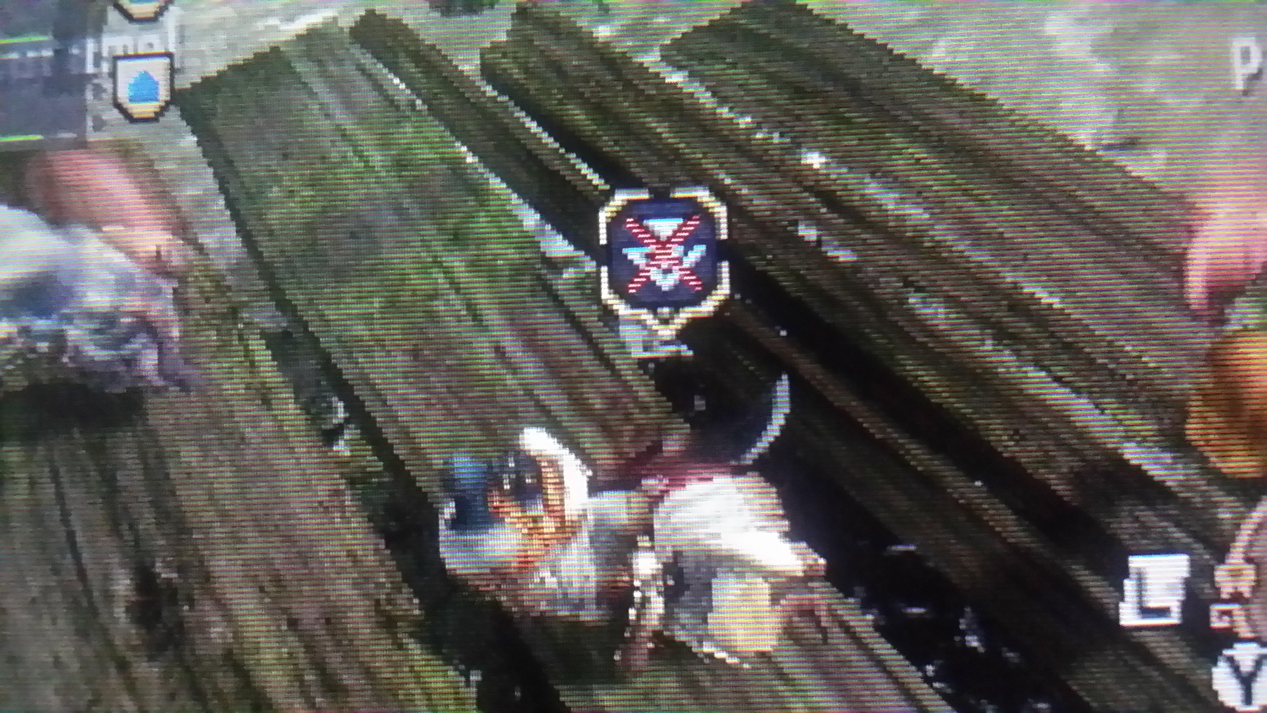 What does this blue arrow mean ? MonsterHunter