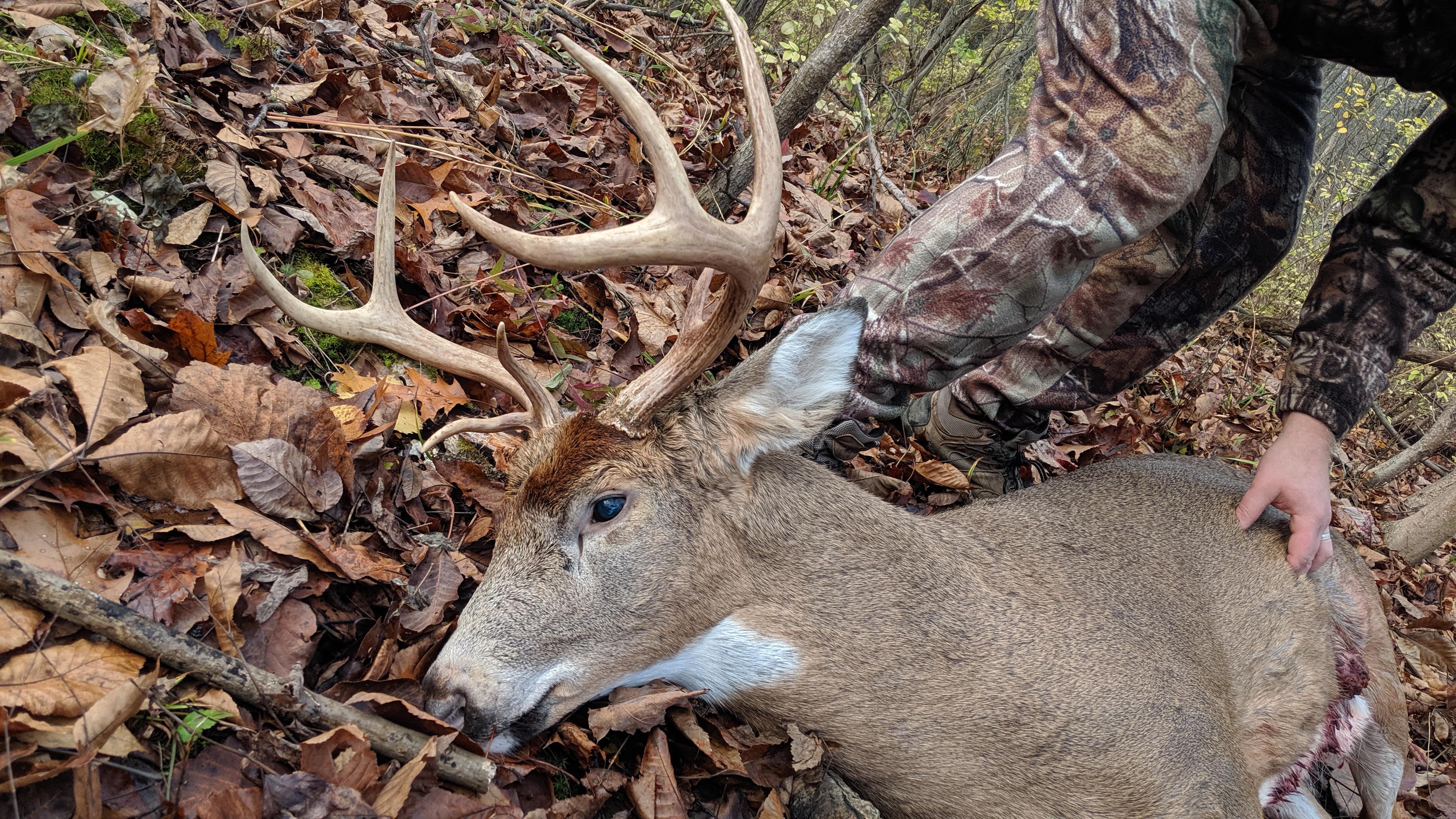 First mature buck. Came in hot at 0840 this morning to 12 yds broadside