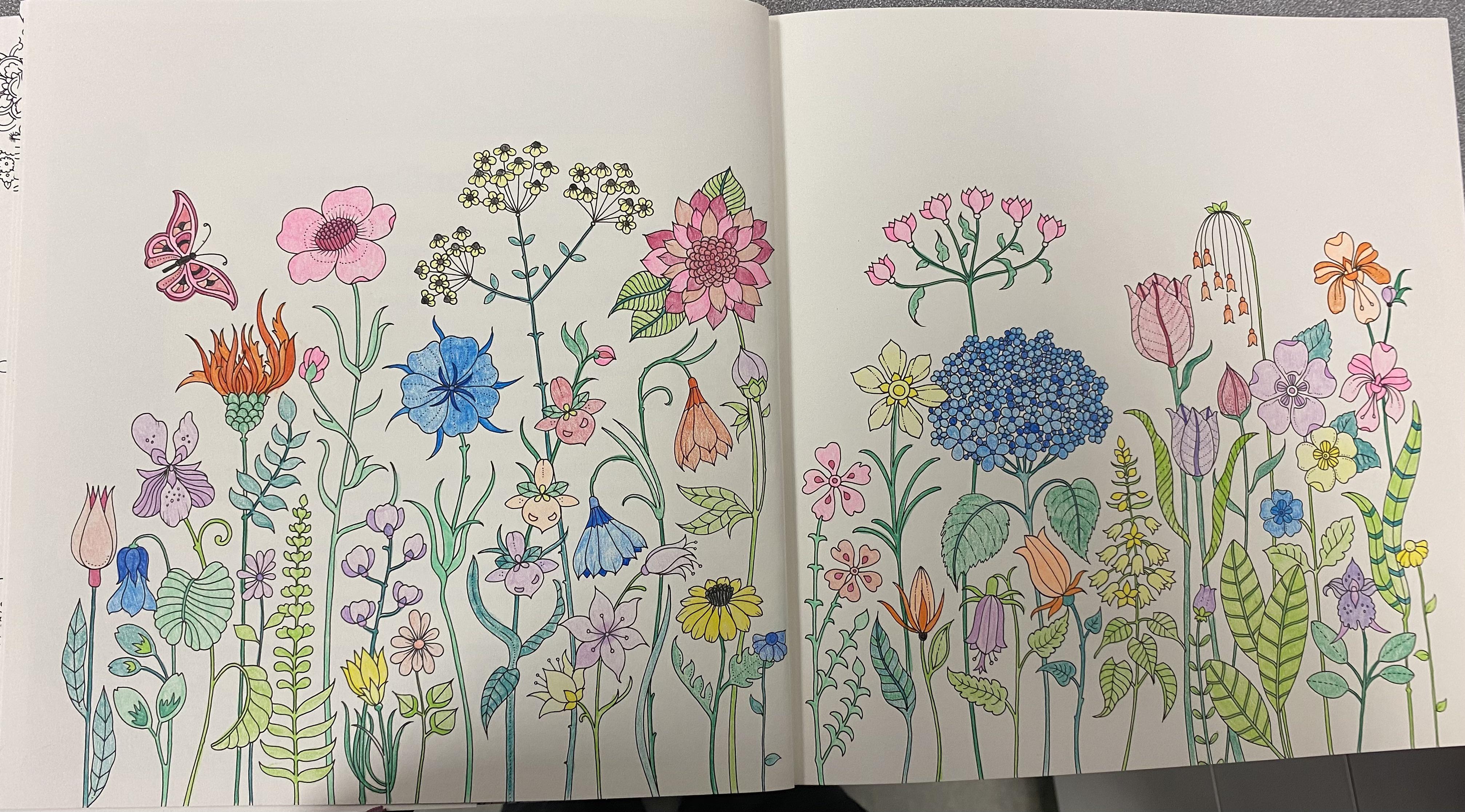 Kirsten Kristensen World Of Flowers Johanna Basford World Of Flowers