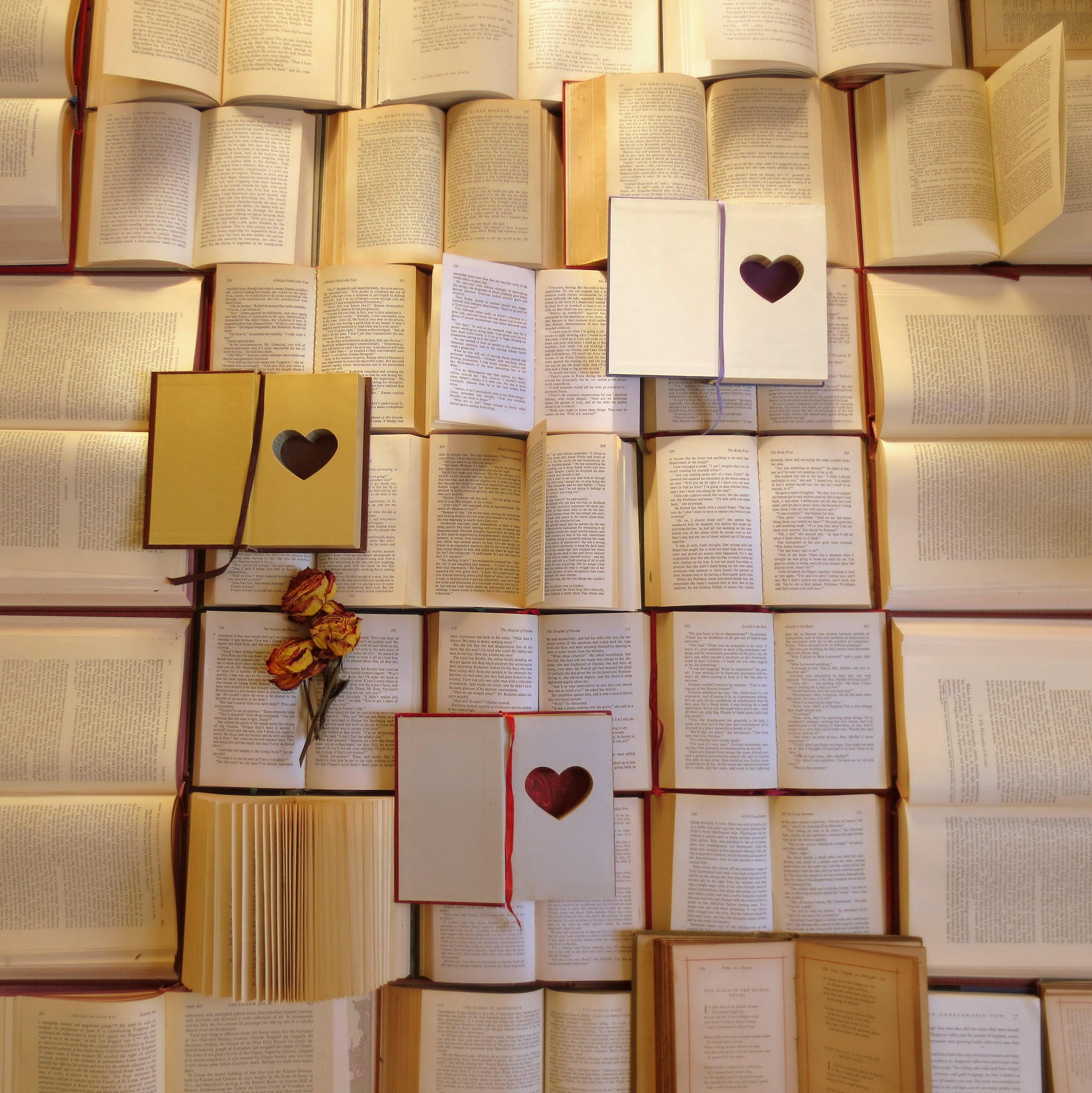 I started making hollow books as a hobby and now make them for a living