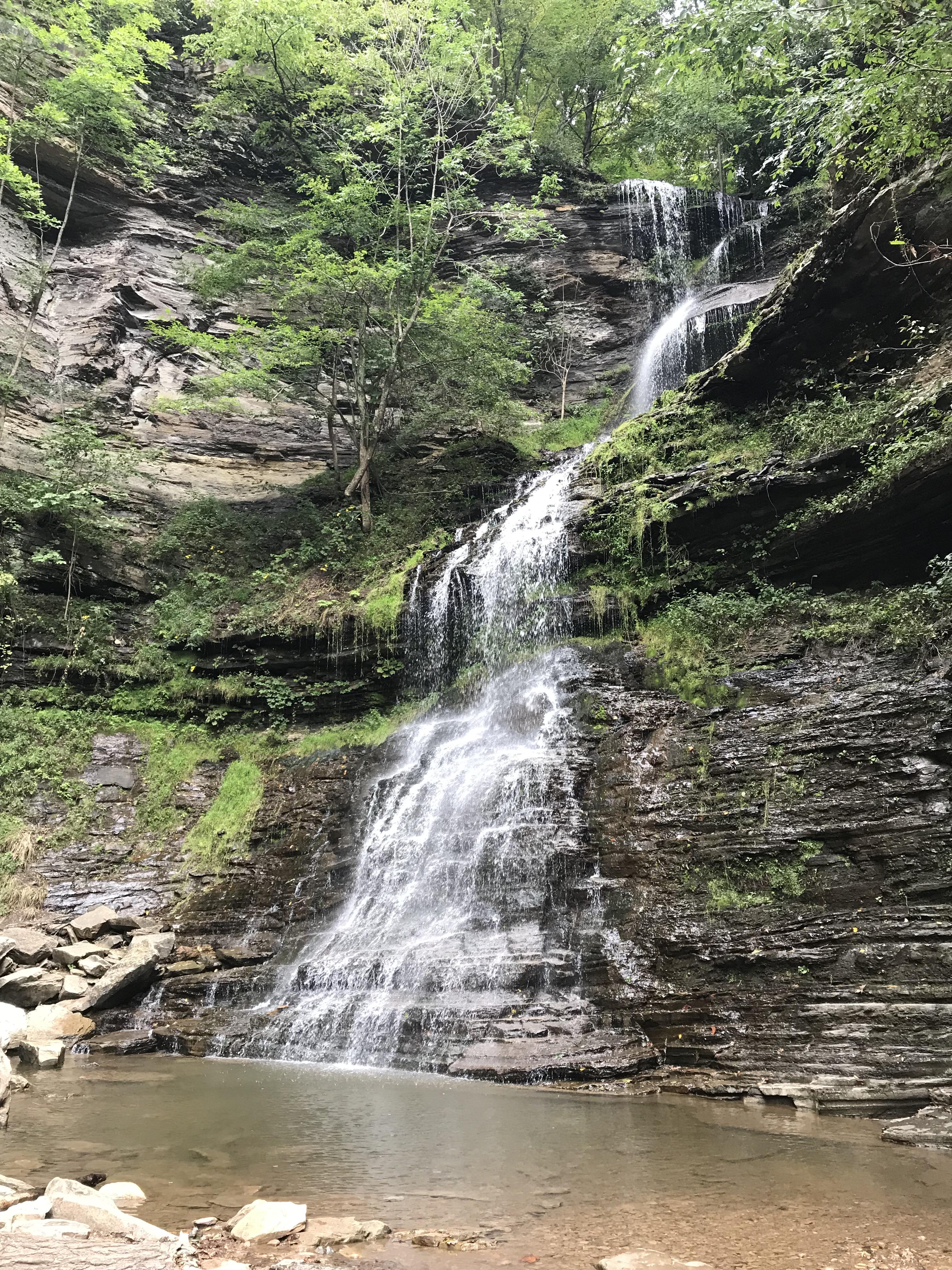 The beautiful Cathedral Falls in Gauley Bridge r/WestVirginia