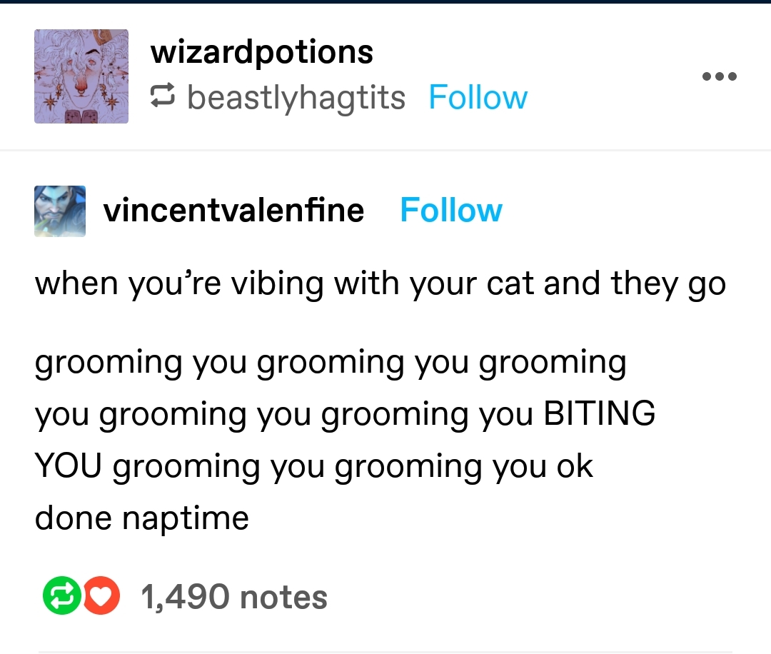 cat grooming r/CuratedTumblr