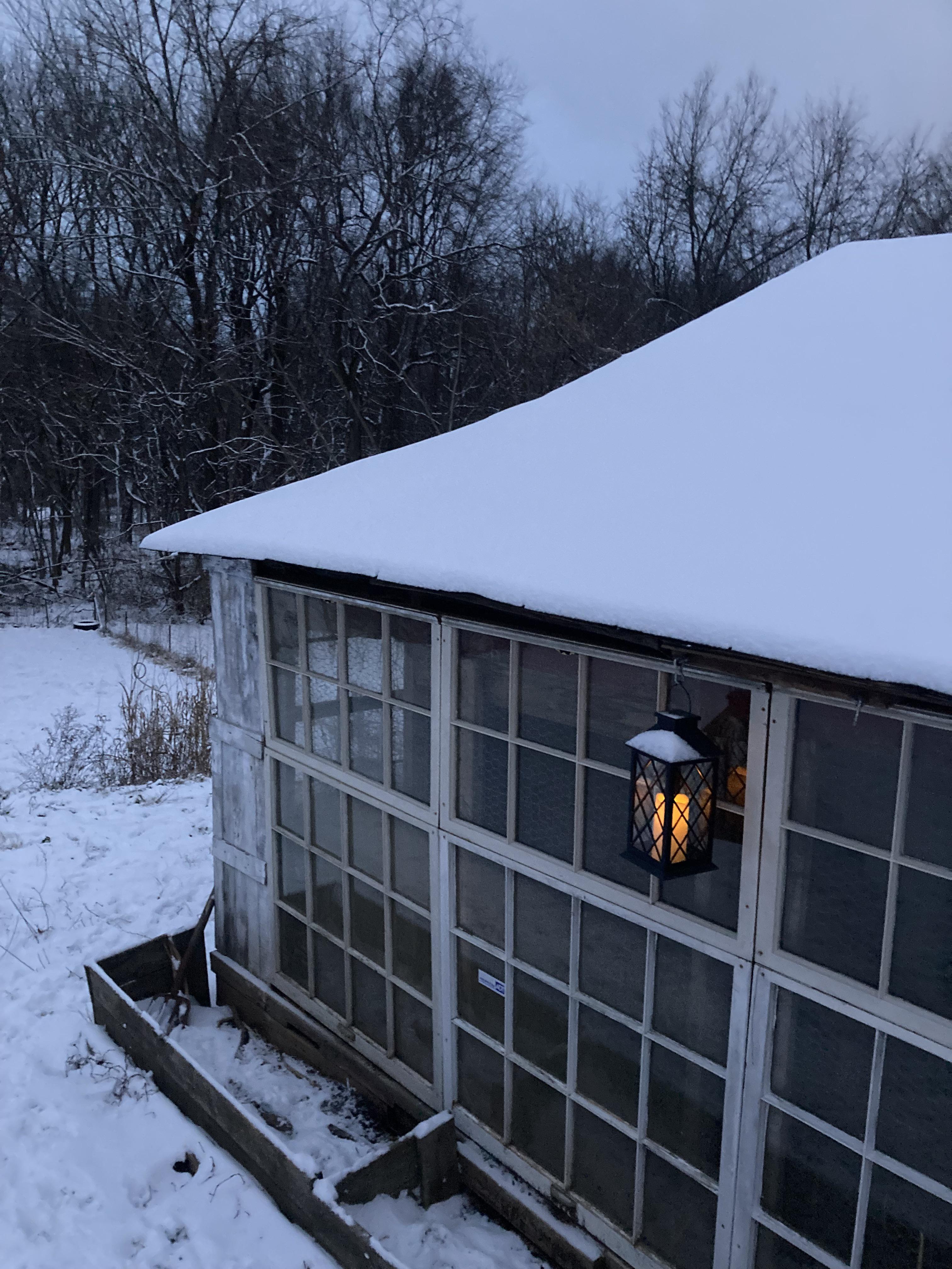 My winterized chicken coop r/cottagecore