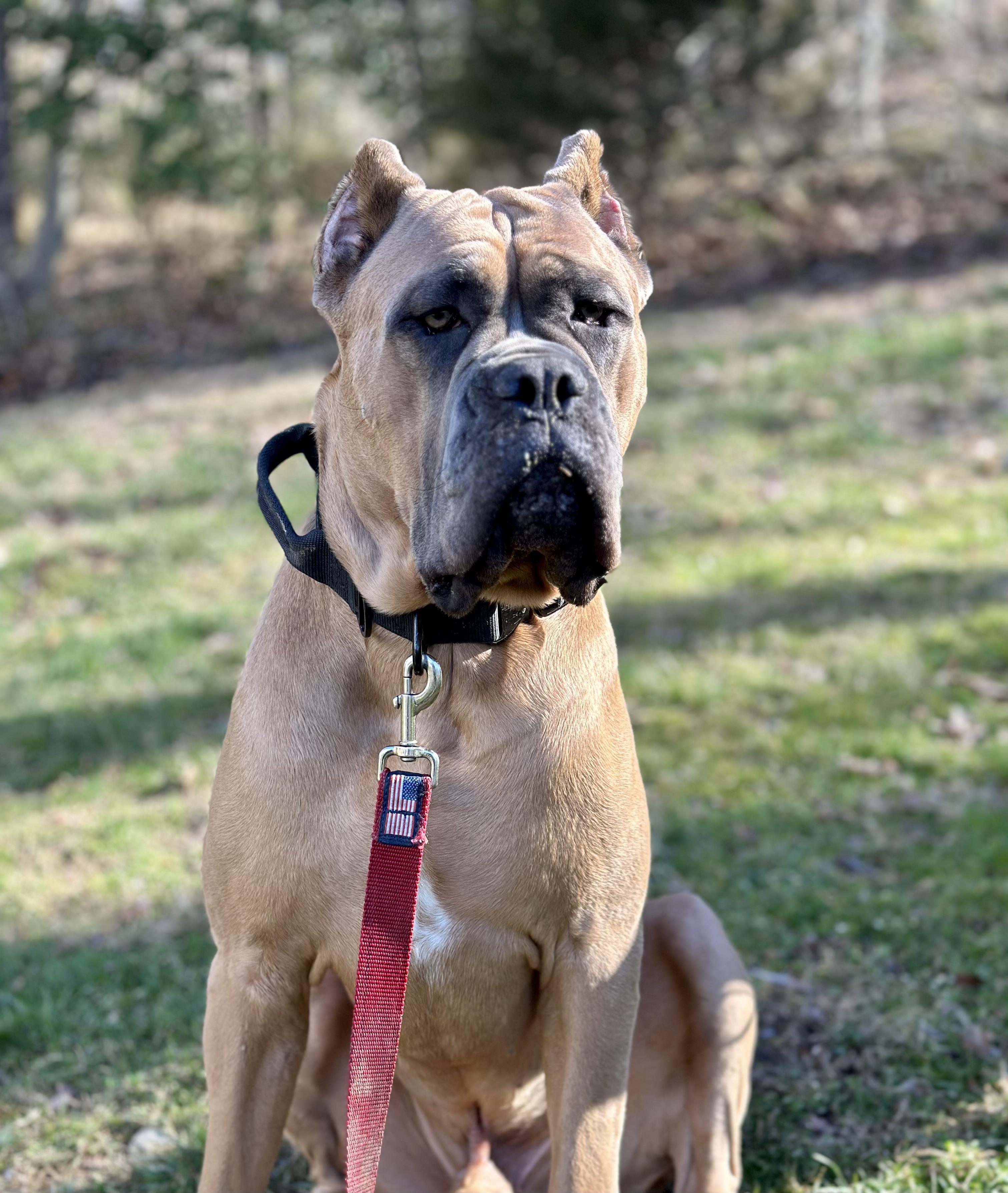 1290 best Blue Steel images on Pholder Supermodel Cats, Aww and