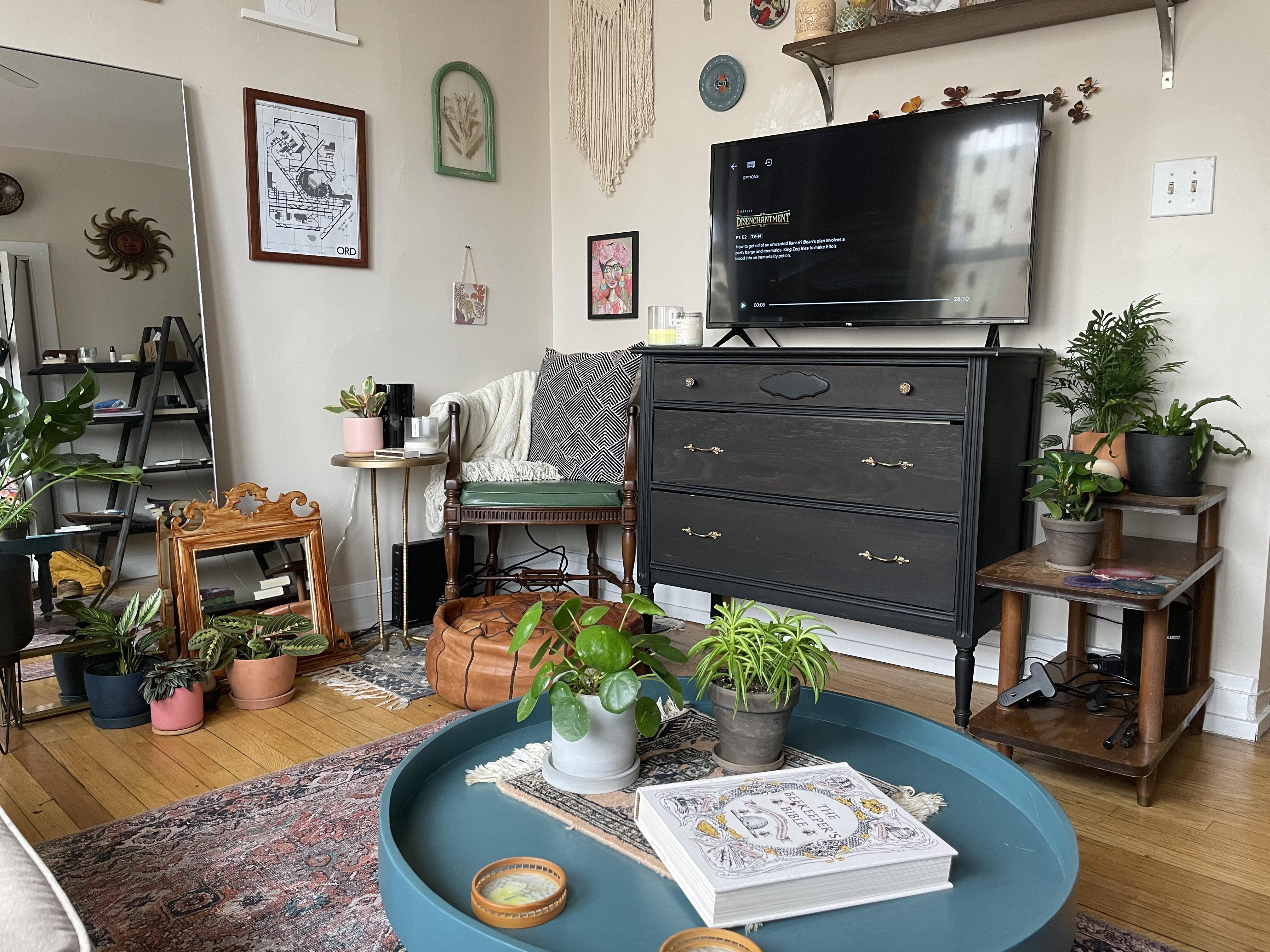 My 100 thrifted cozy living room r/CozyPlaces