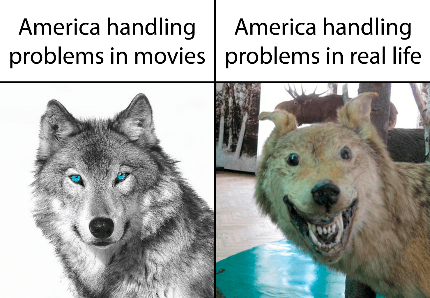 O say can you see by the dawn's early light r/dankmemes