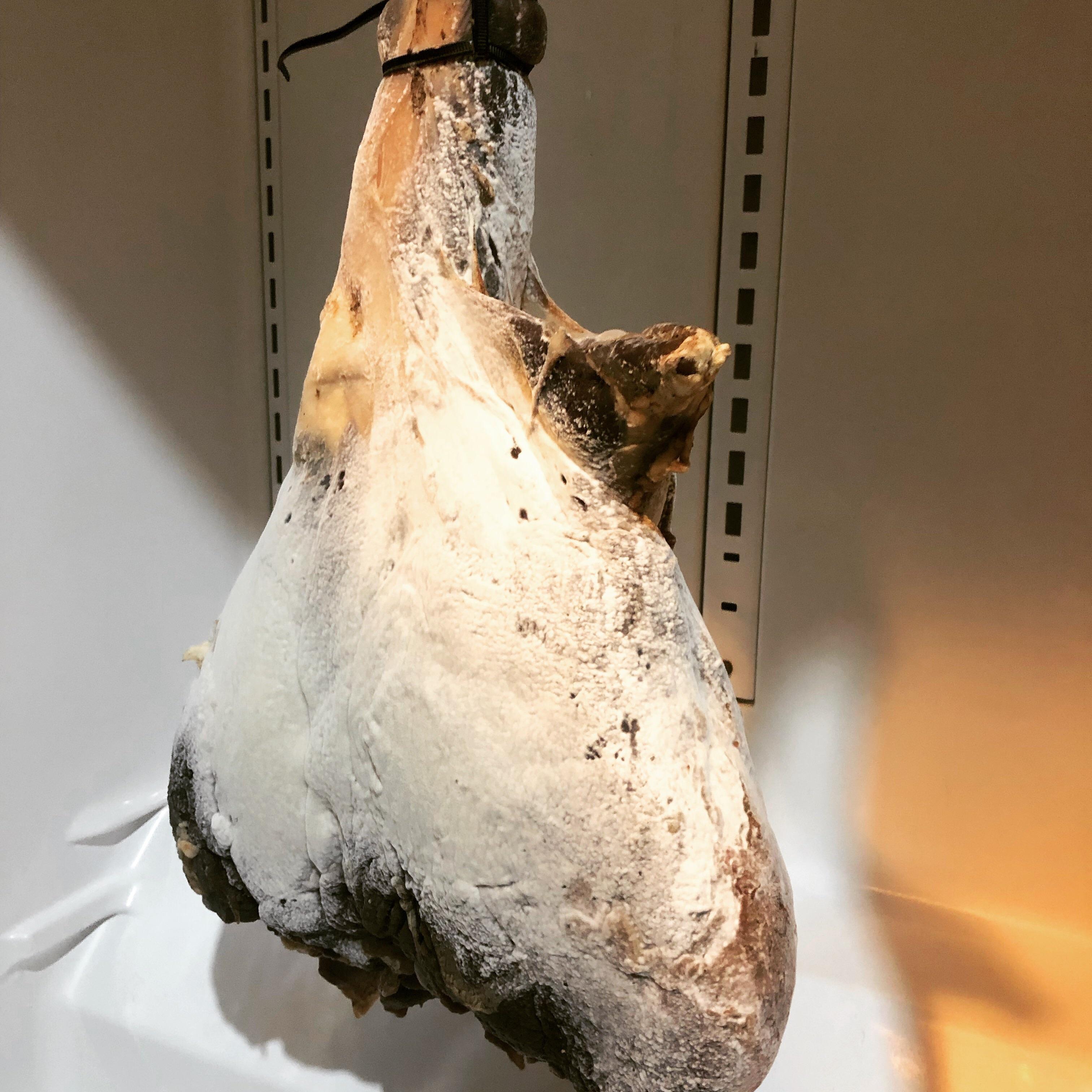 Venison hind quarter curing project is moving along! Inoculation worked and the chamber