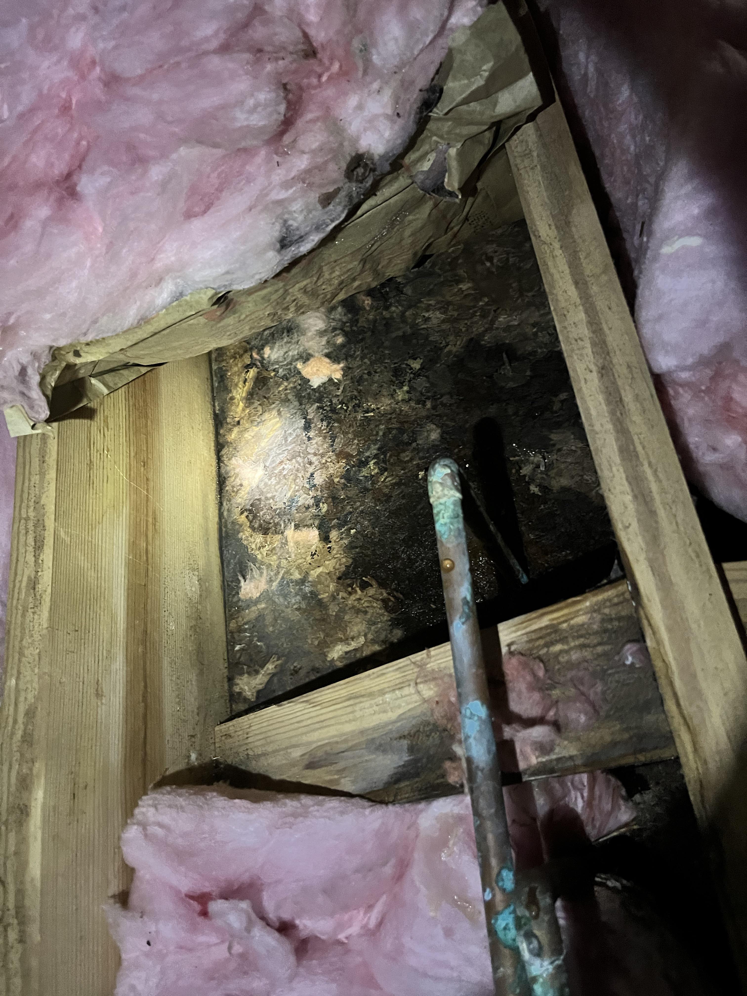 Found rotted subfloor under stand up shower r/Plumbing