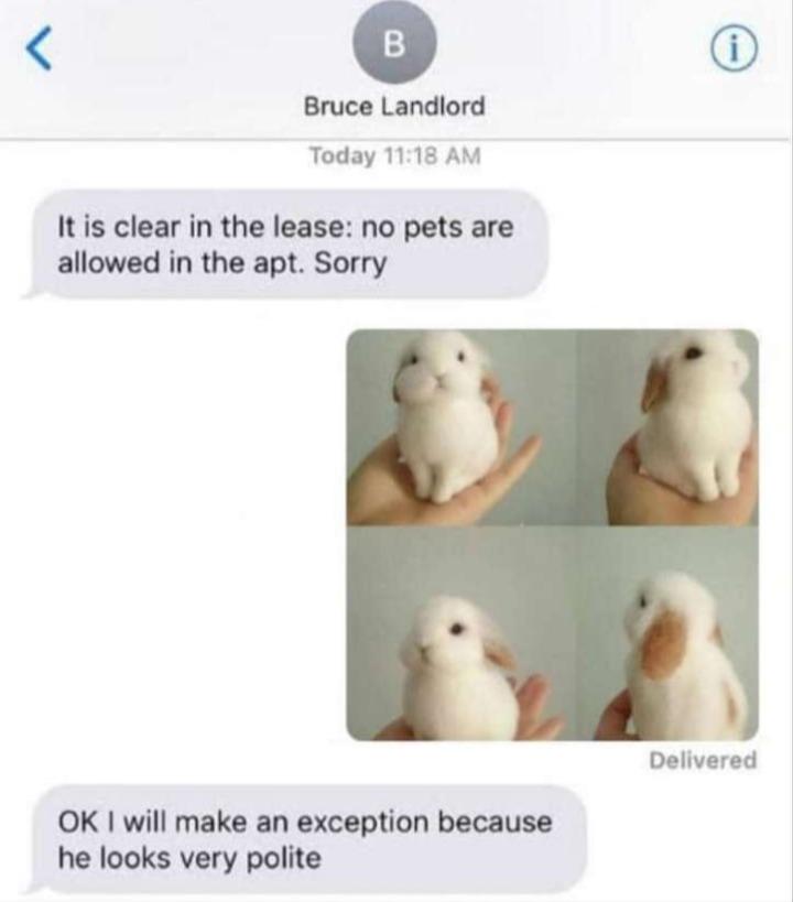 No Pets Allowed...... r/Rabbits