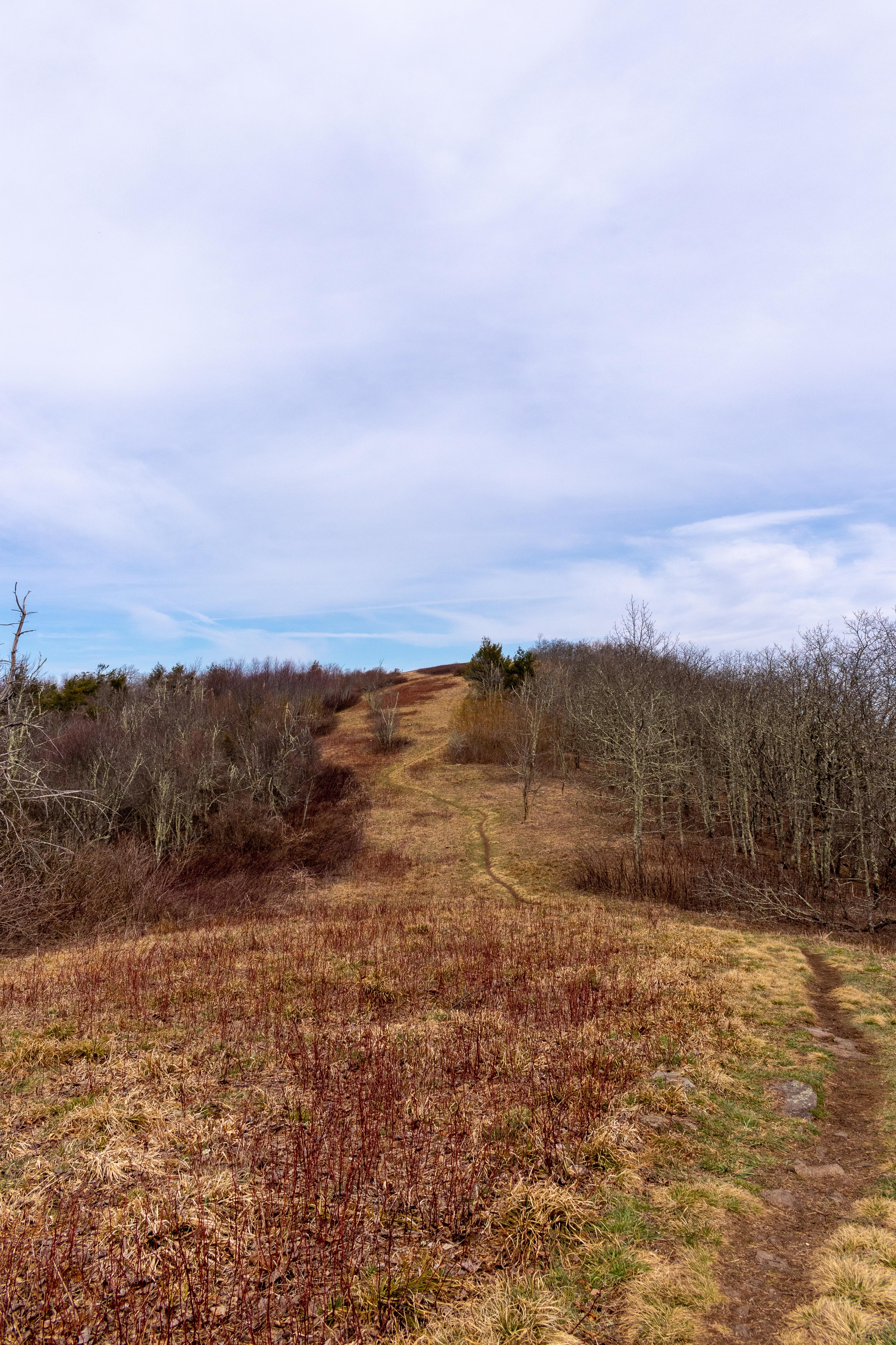 Beauty Spot, Erwin, TN, USA on the Appalachian Trail r/hiking