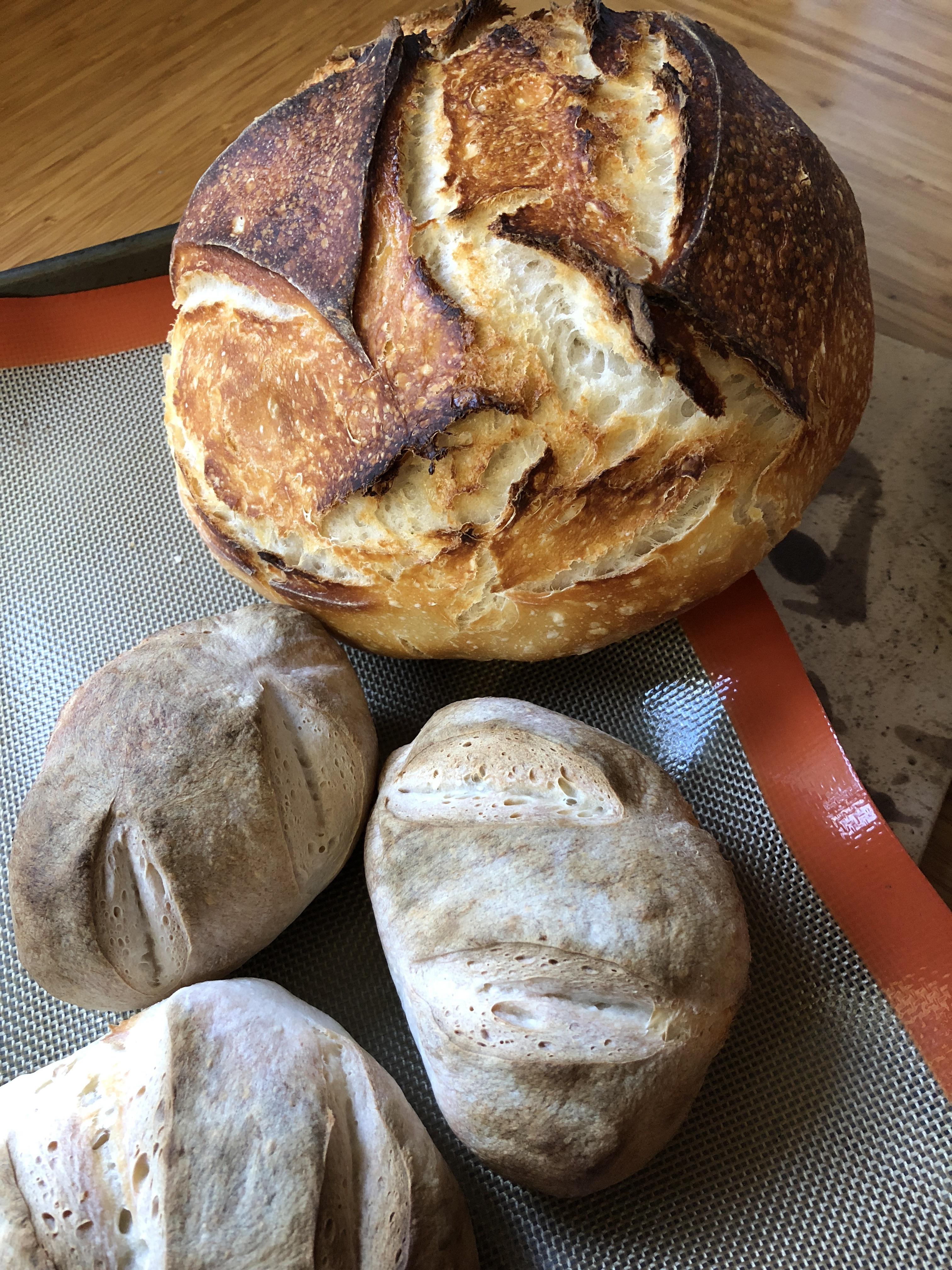 Dutch oven vs baked on a pan (plain white sourdough) r/Breadit