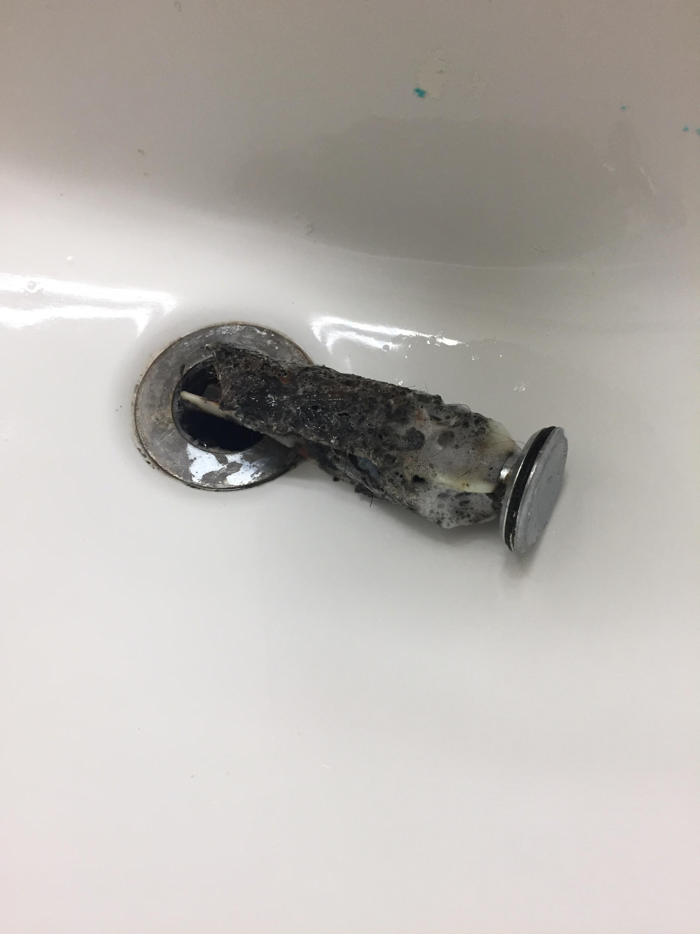 Sink at the new apartment was backing up. r/pics