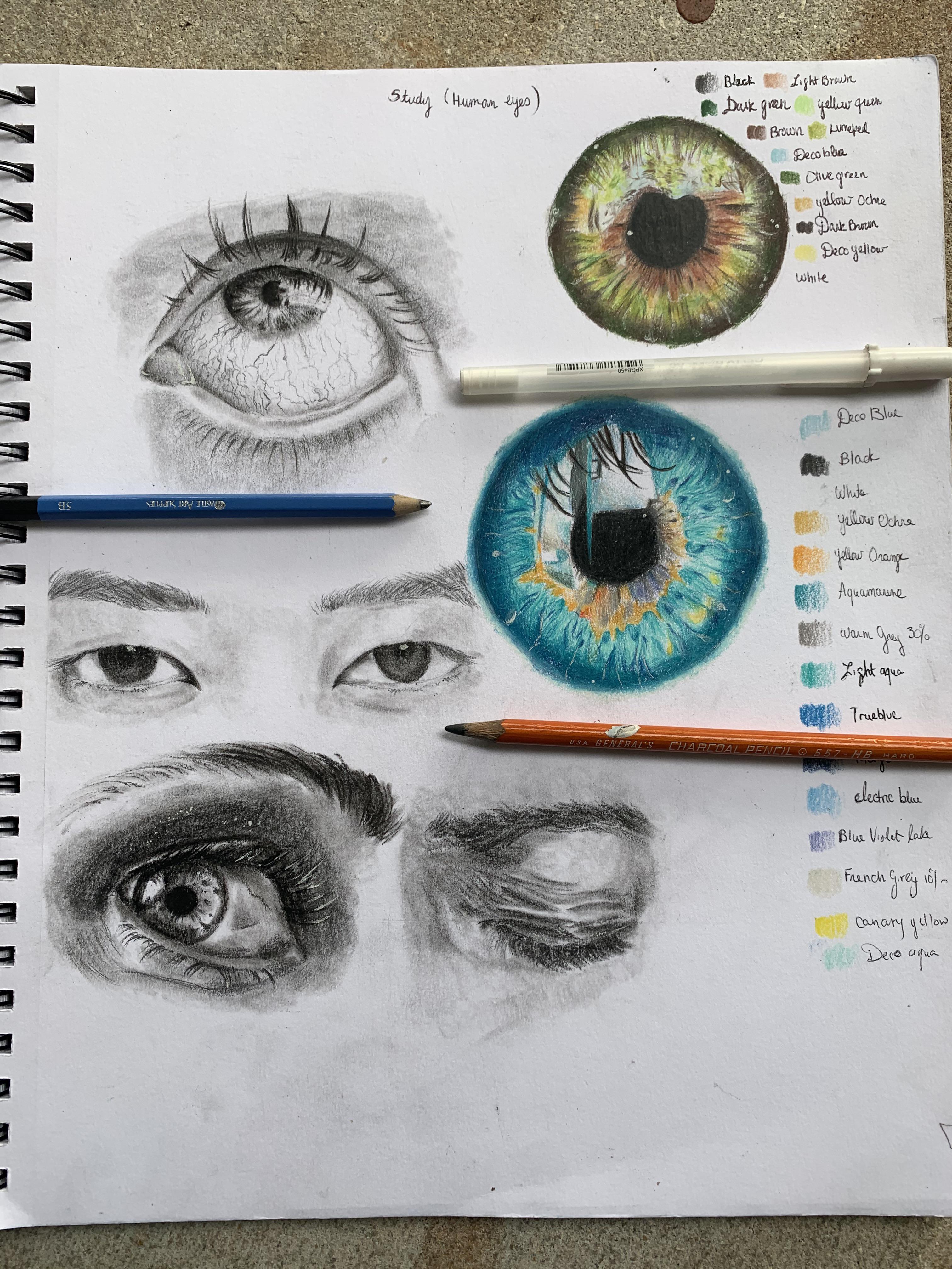 Little study of eyes. Colored pencil and charcoal r/drawing