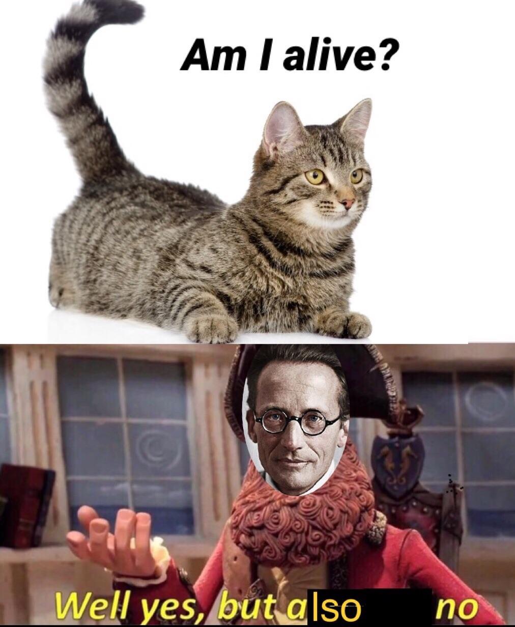 Well yes, but actually no dankmemes