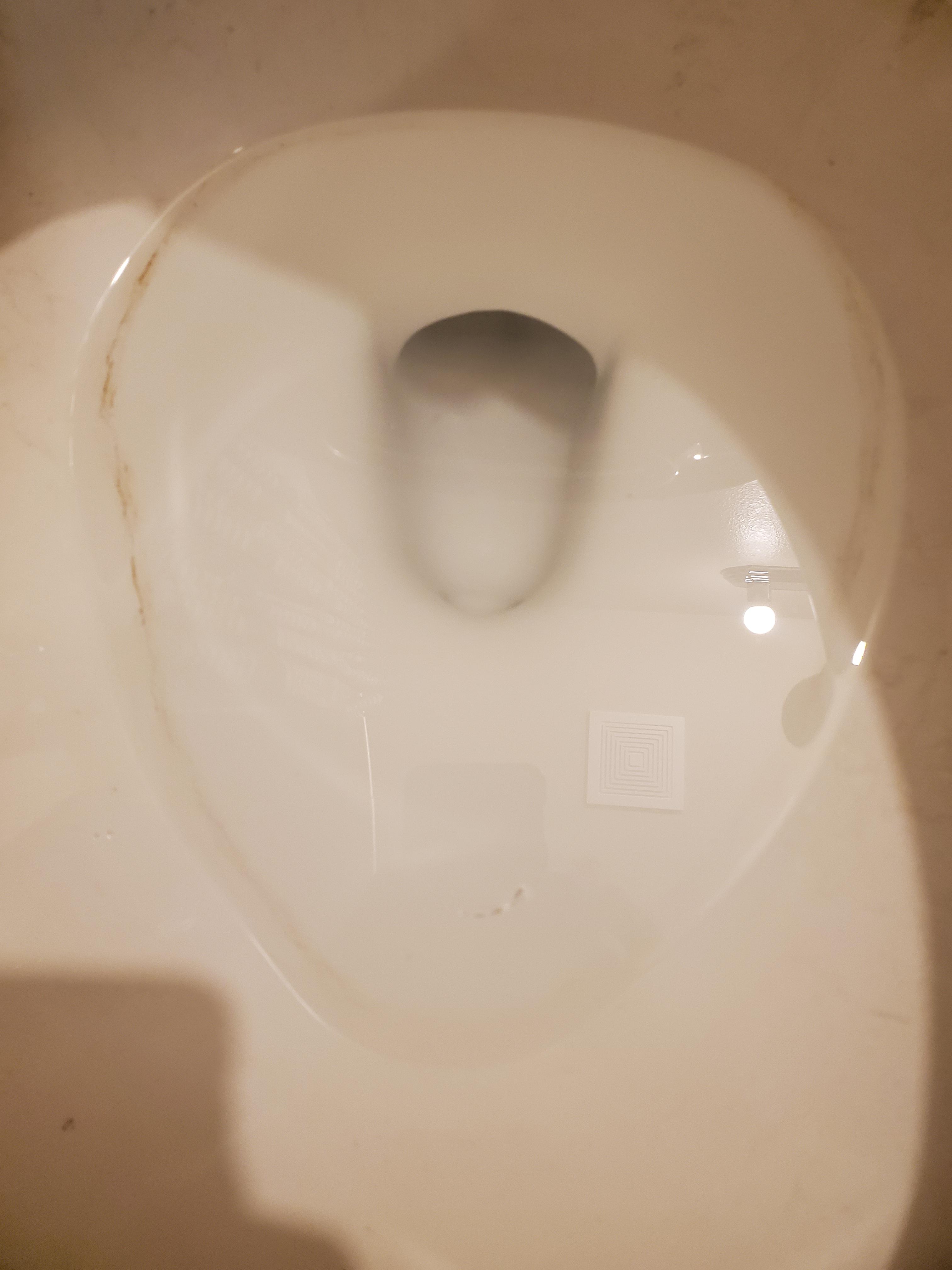 how can i get this black stuff out of my toilet bowl? LCR doesn't seem