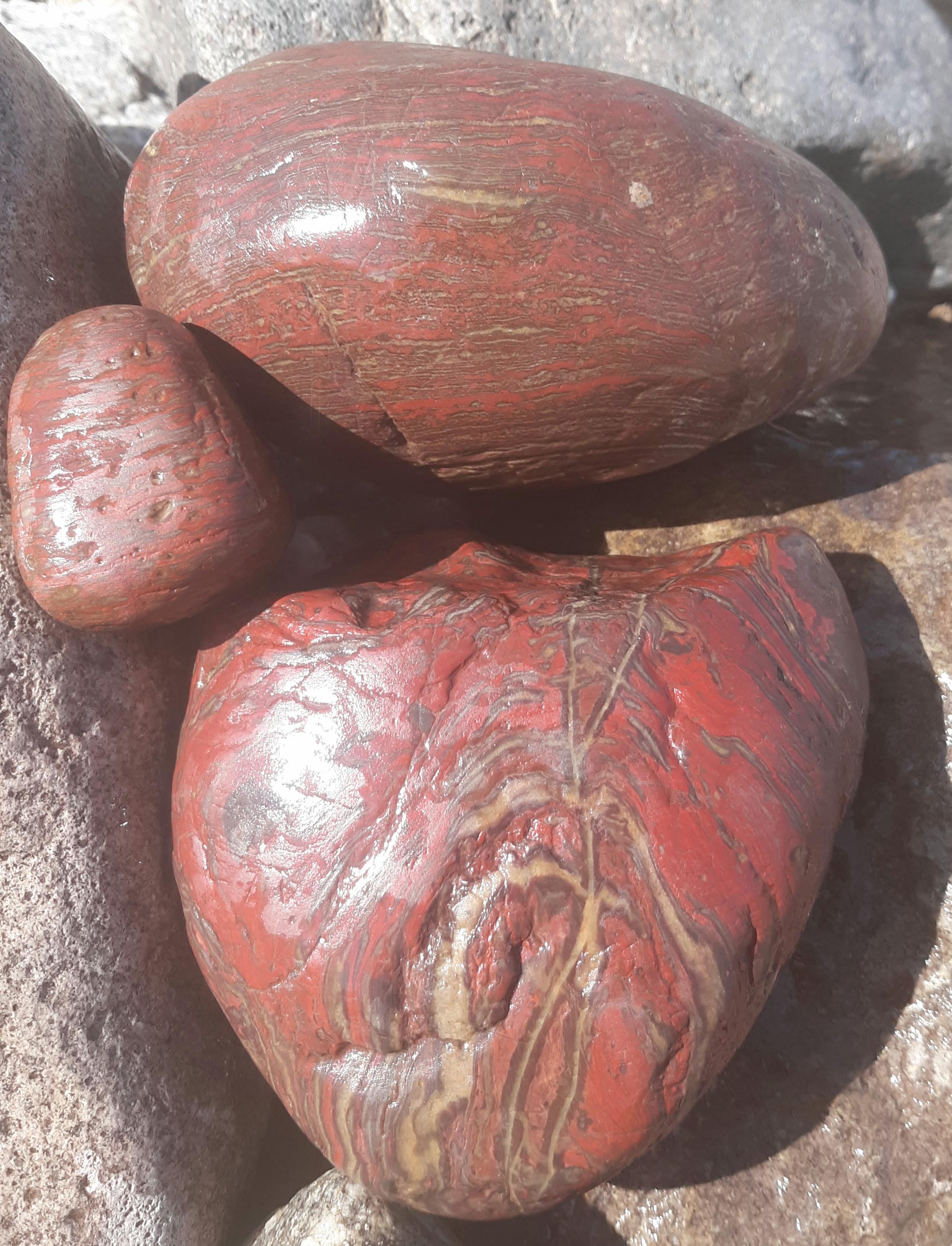 Red jasper brecciated and banded found today in the Mojave Desert near