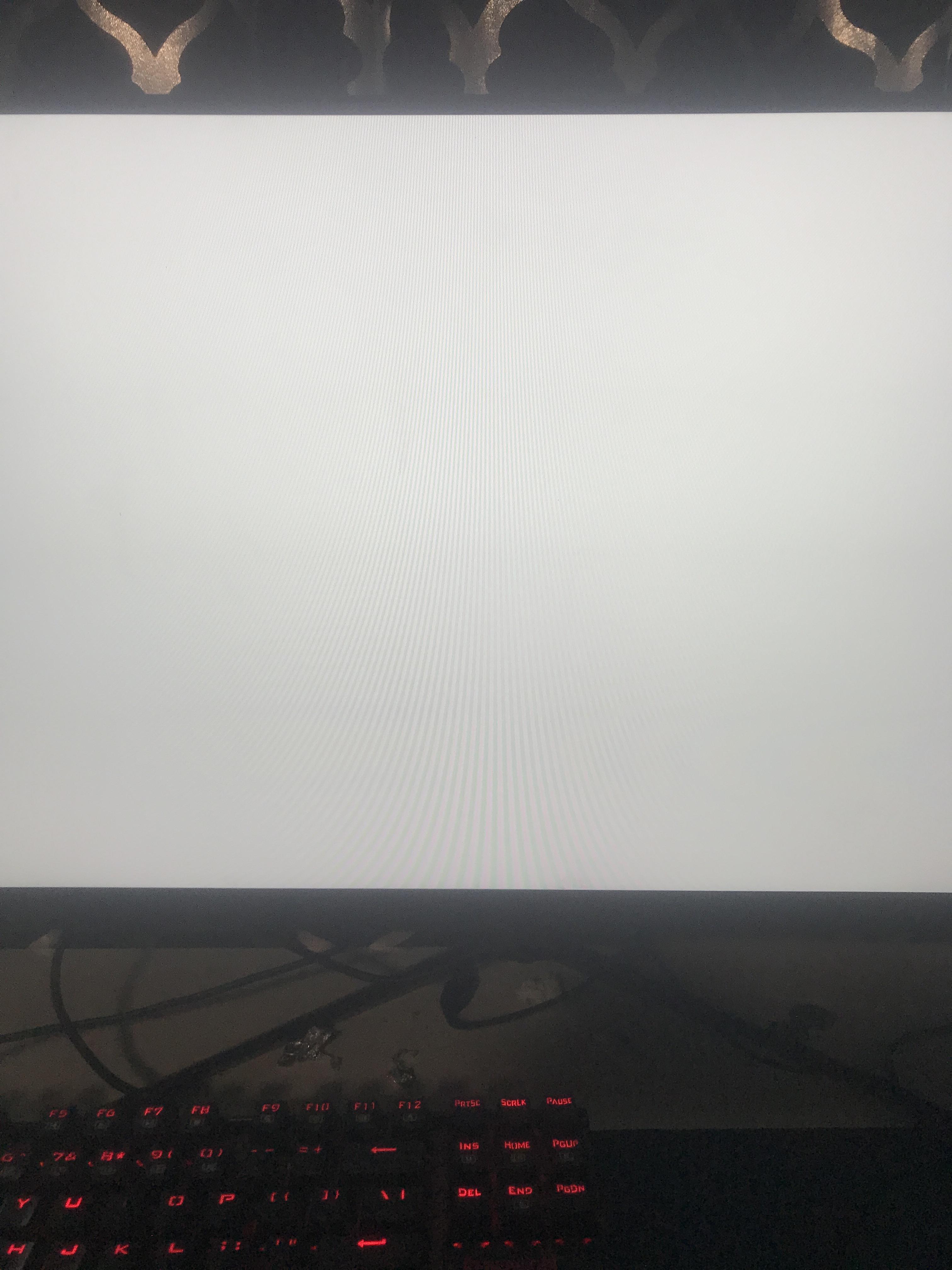 I get stuck on this white screen every time I launch the game, how do I