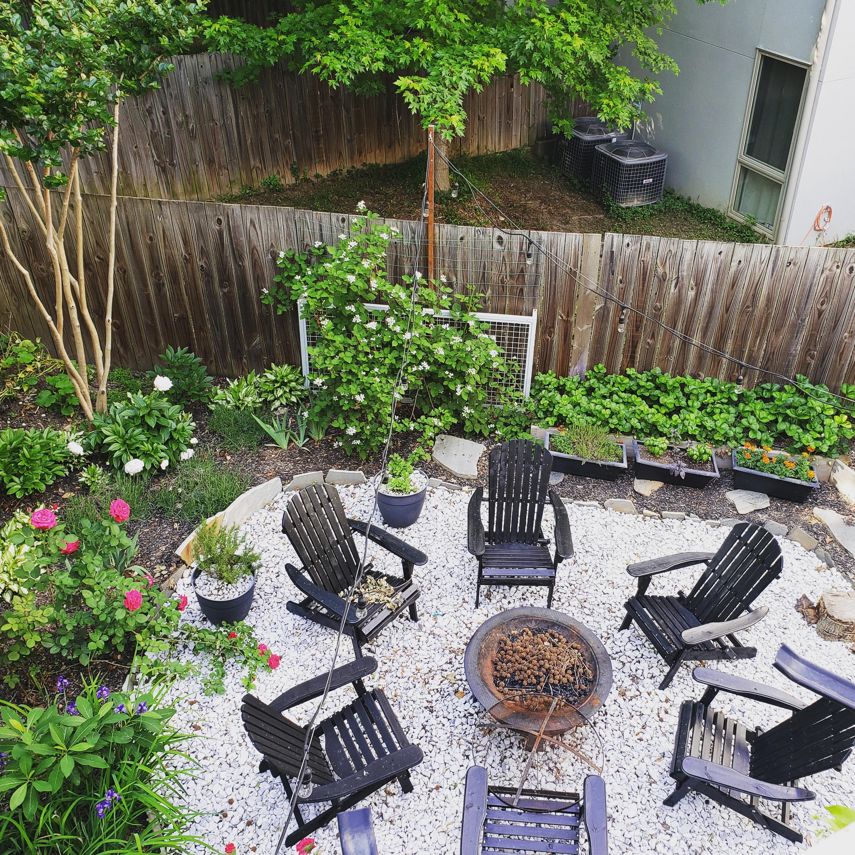 My oasis is finally showing her colors r/gardening