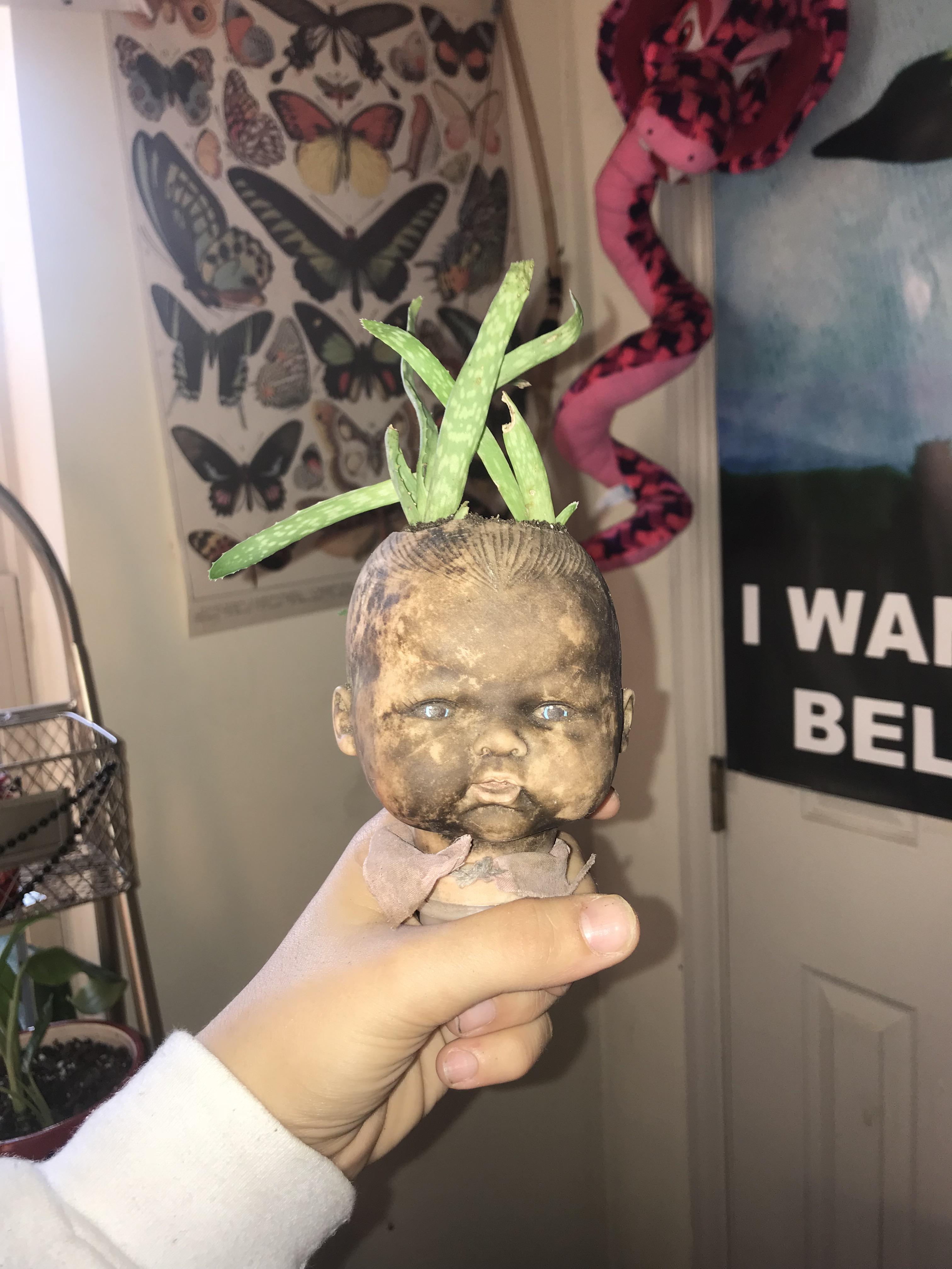 is it ok to post this flower “pot” here? r/gardening