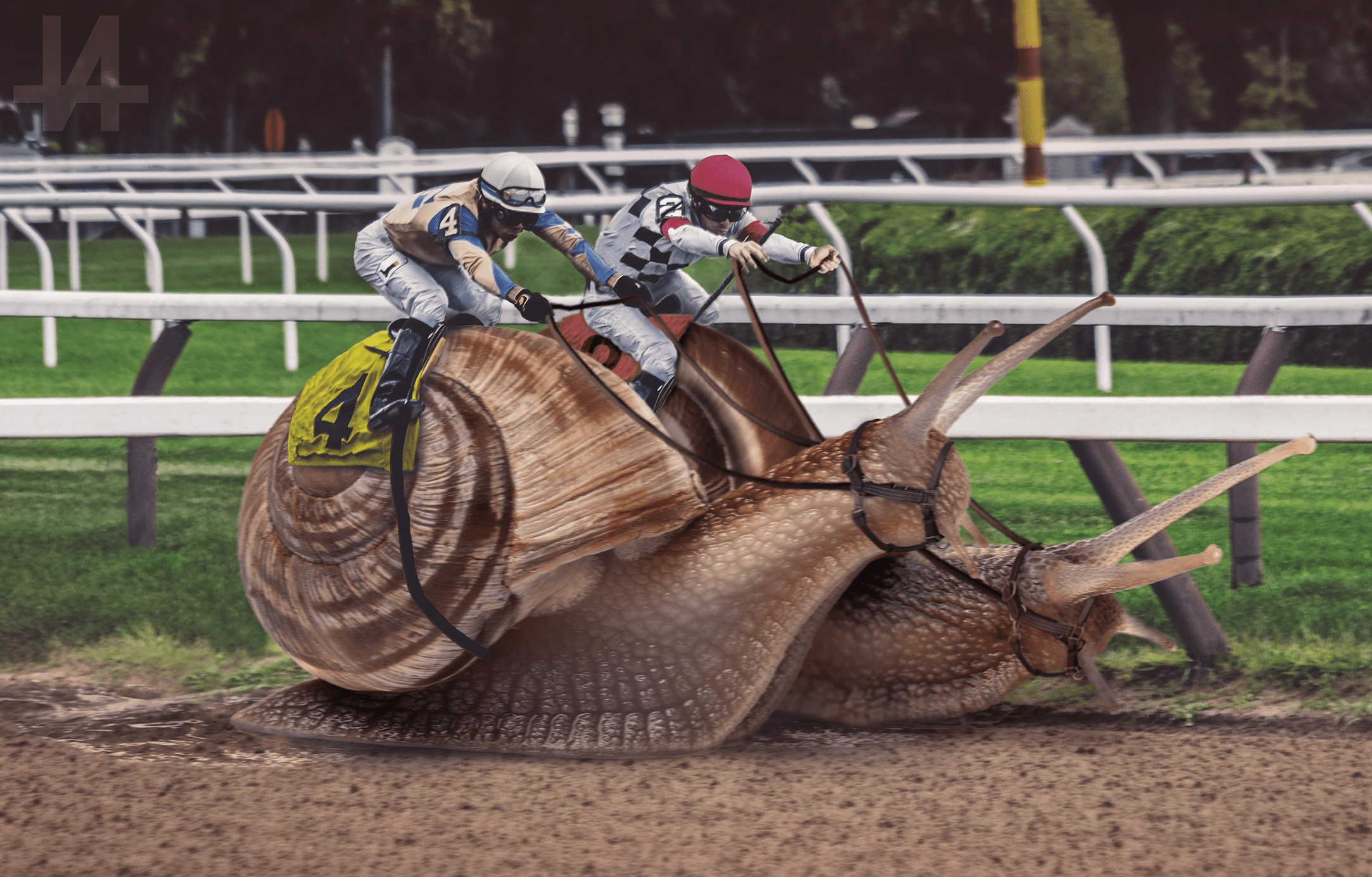 "Snail Race", Digital, 2017 r/Art