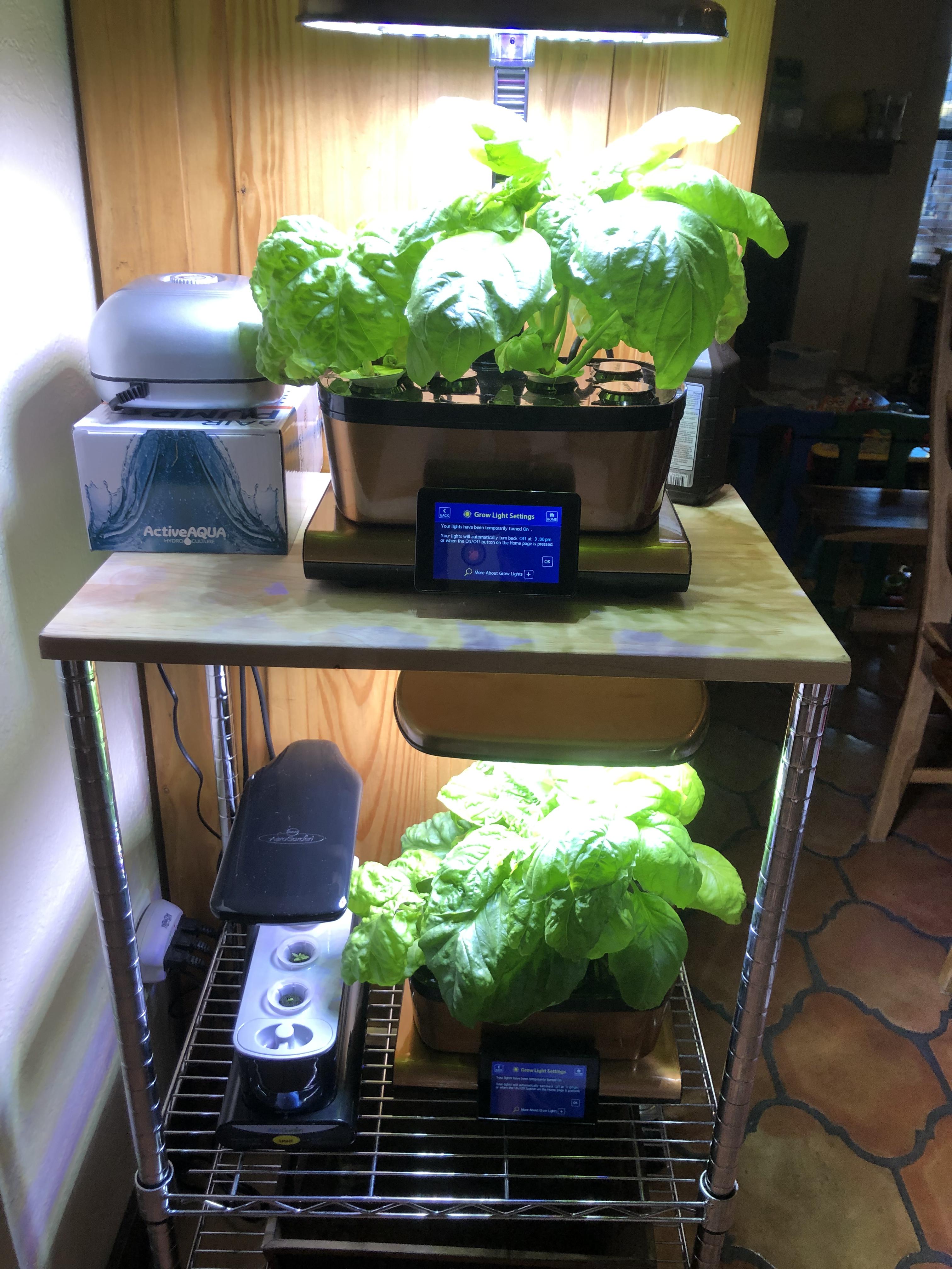 My Indoor Herb Garden ) r/aerogarden