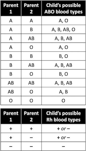 What are the most common blood types of a child from any two parents