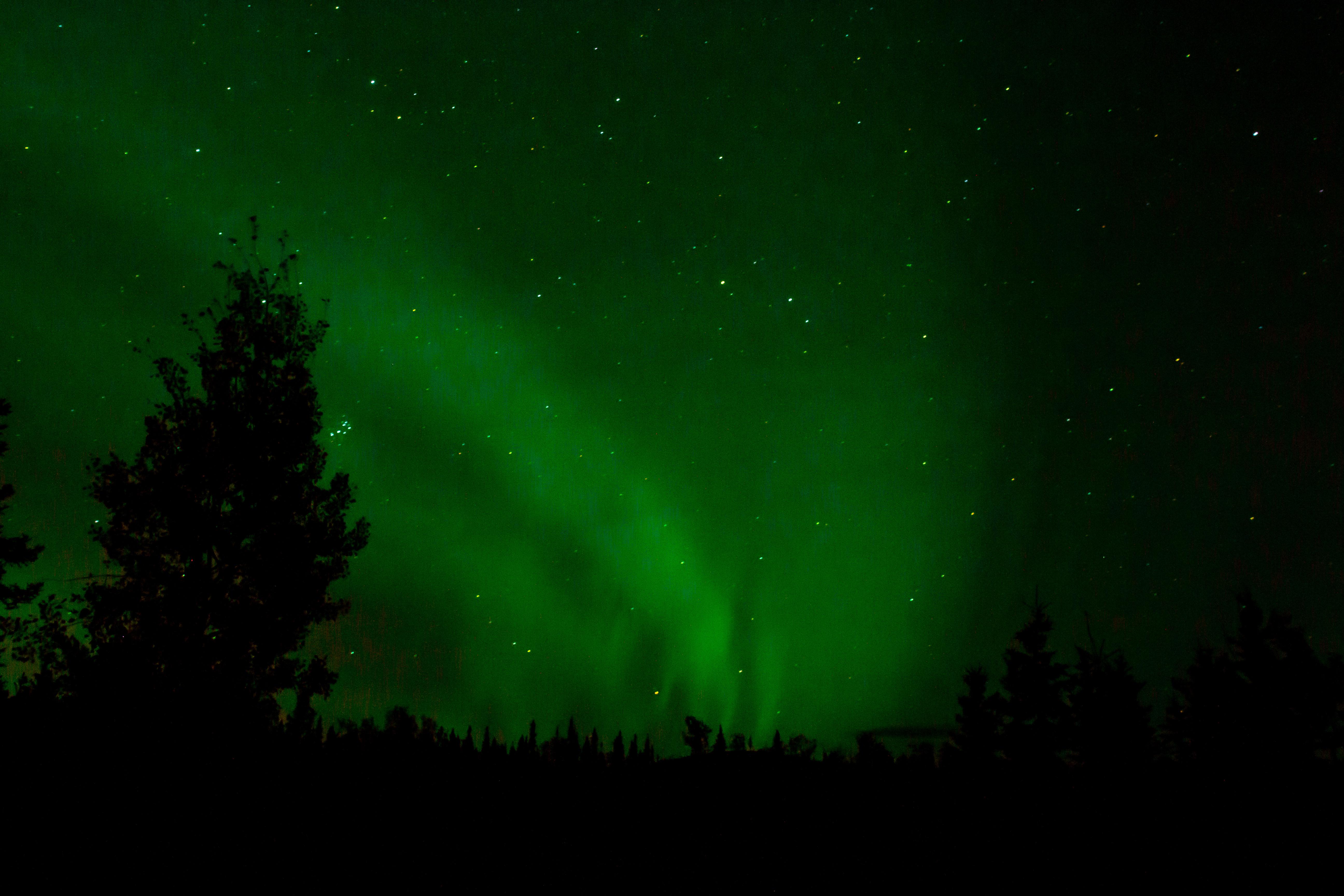 The Northern lights at Healy, AK [OC] r/MostBeautiful