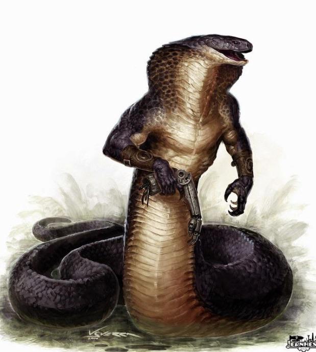 [5E] whip builds 3d6