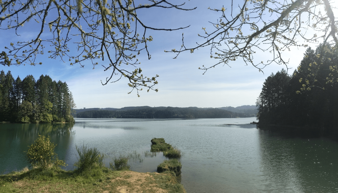 Henry Hagg lake this morning. Portland
