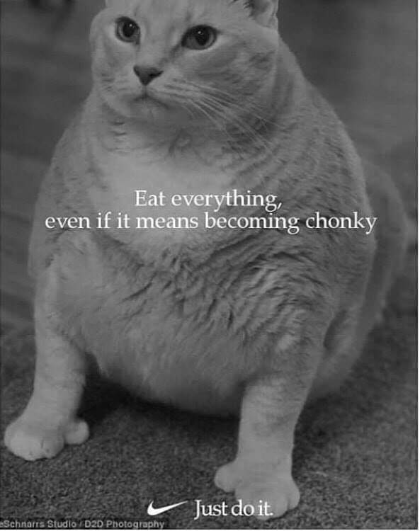 Spotted near Cookie Dookie's food bowl. r/90DayFiance