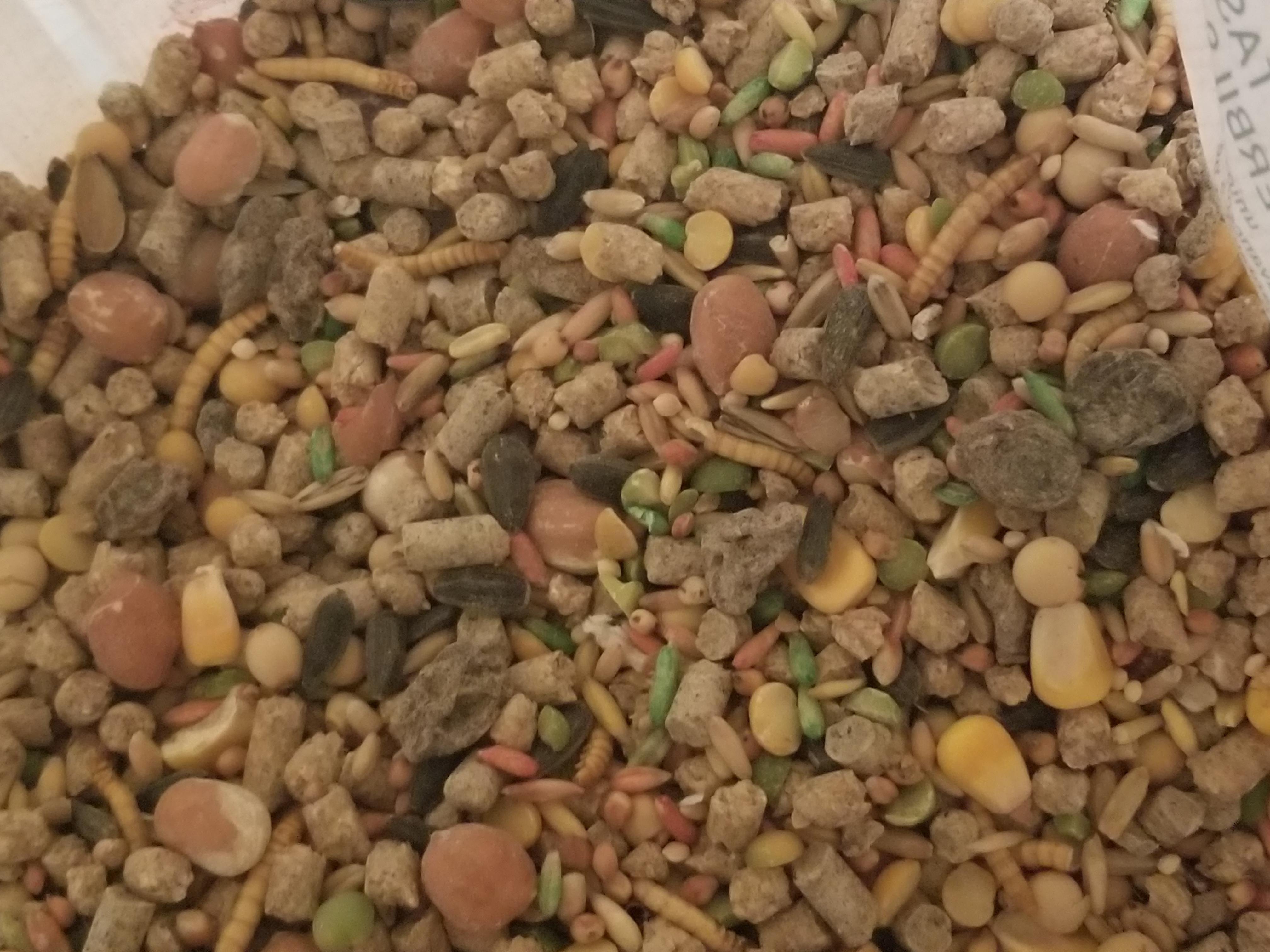 This is my hamster Ari's diet, I am looking for a good diet on amazon