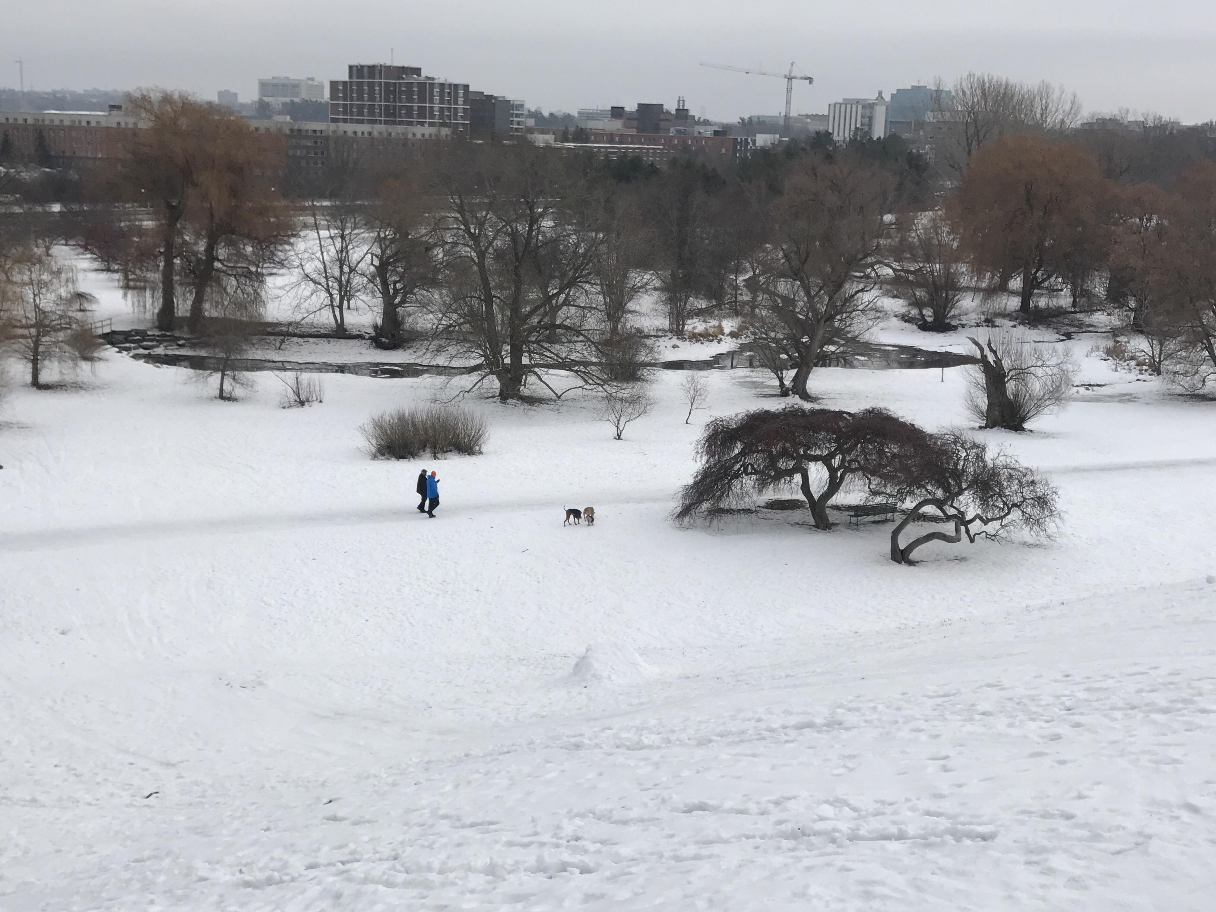 You are supposed to keep your dog on a leash. People scared of big dogs