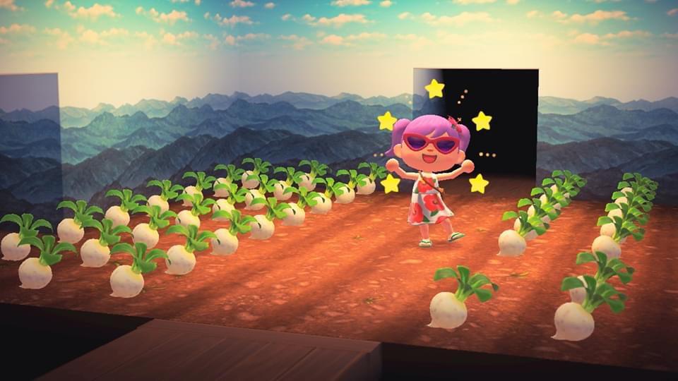 My husband only played for two days, so I upgraded his house and now I