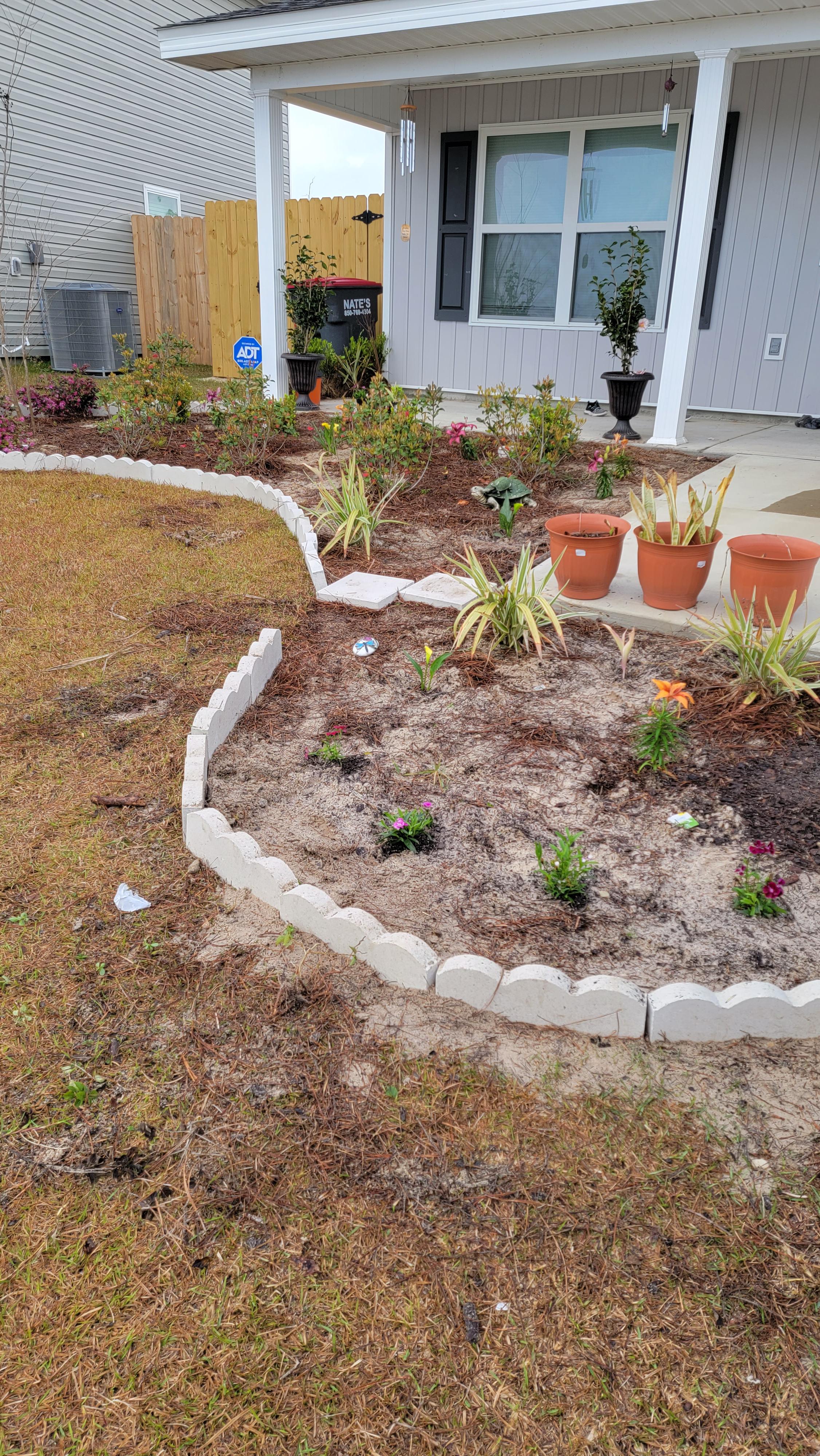 Black or Red Mulch r/gardening