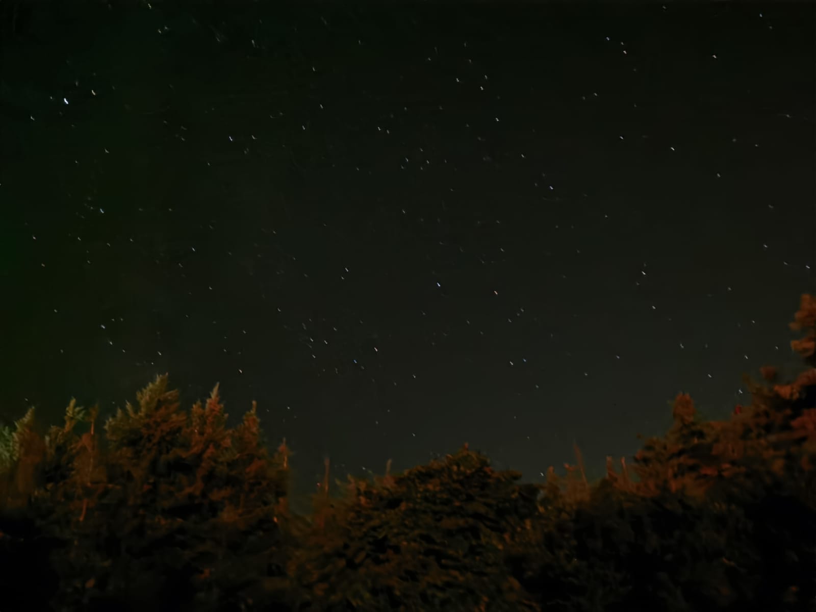 Phone cameras really have evolved r/pics